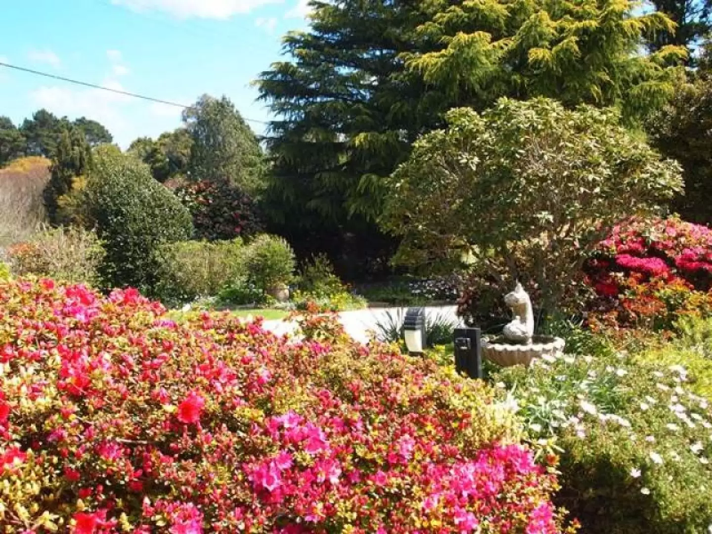 4 Lemmons Road, Robertson Sold by Drew Lindsay Sotheby's International Realty - image 15