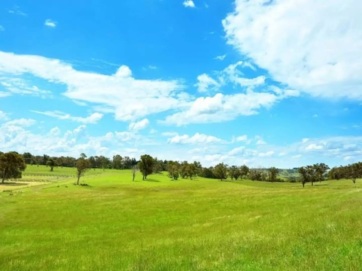 Bowral Sold by Drew Lindsay Sotheby's International Realty - image 13