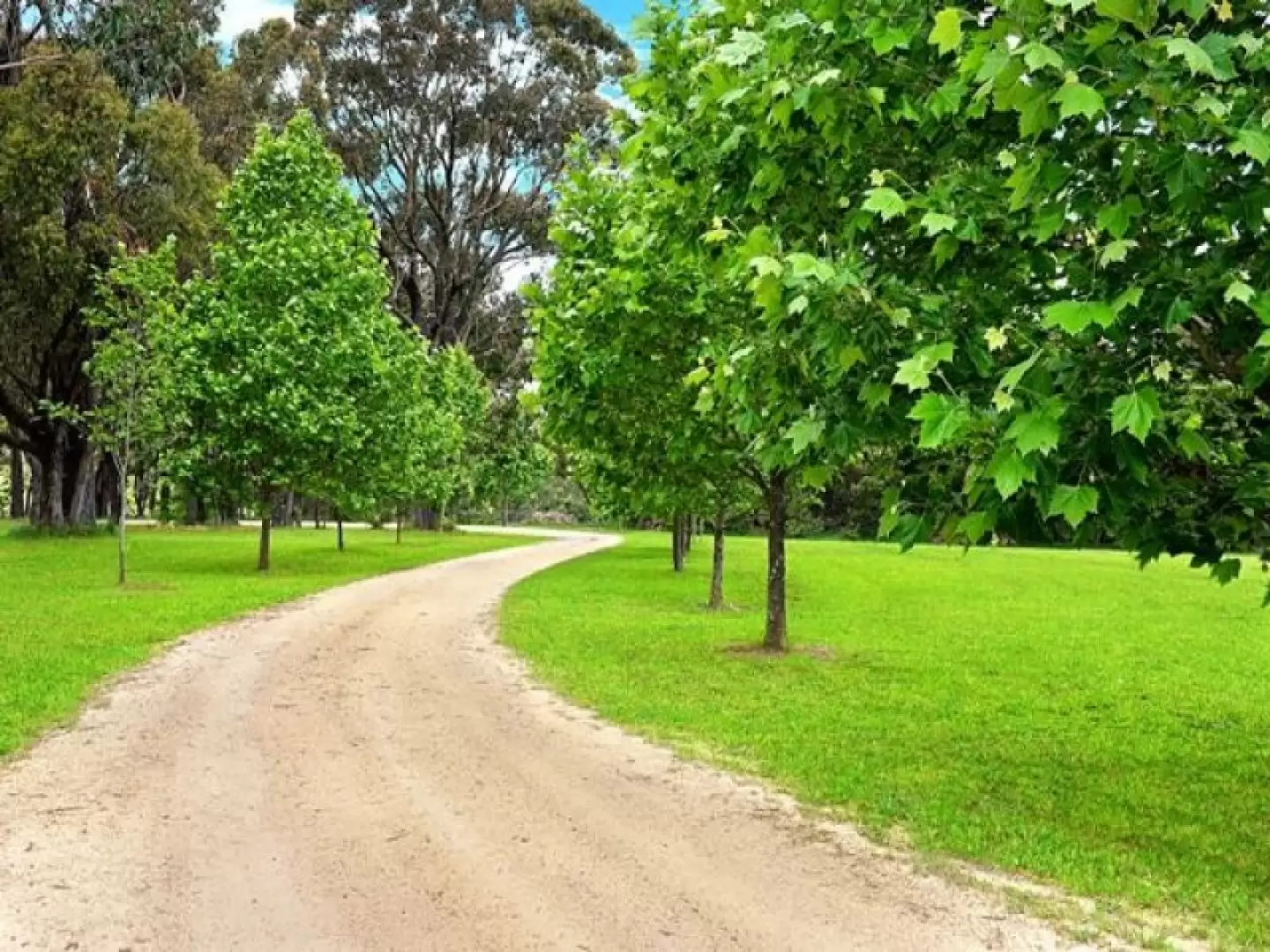 Bowral Sold by Drew Lindsay Sotheby's International Realty - image 16