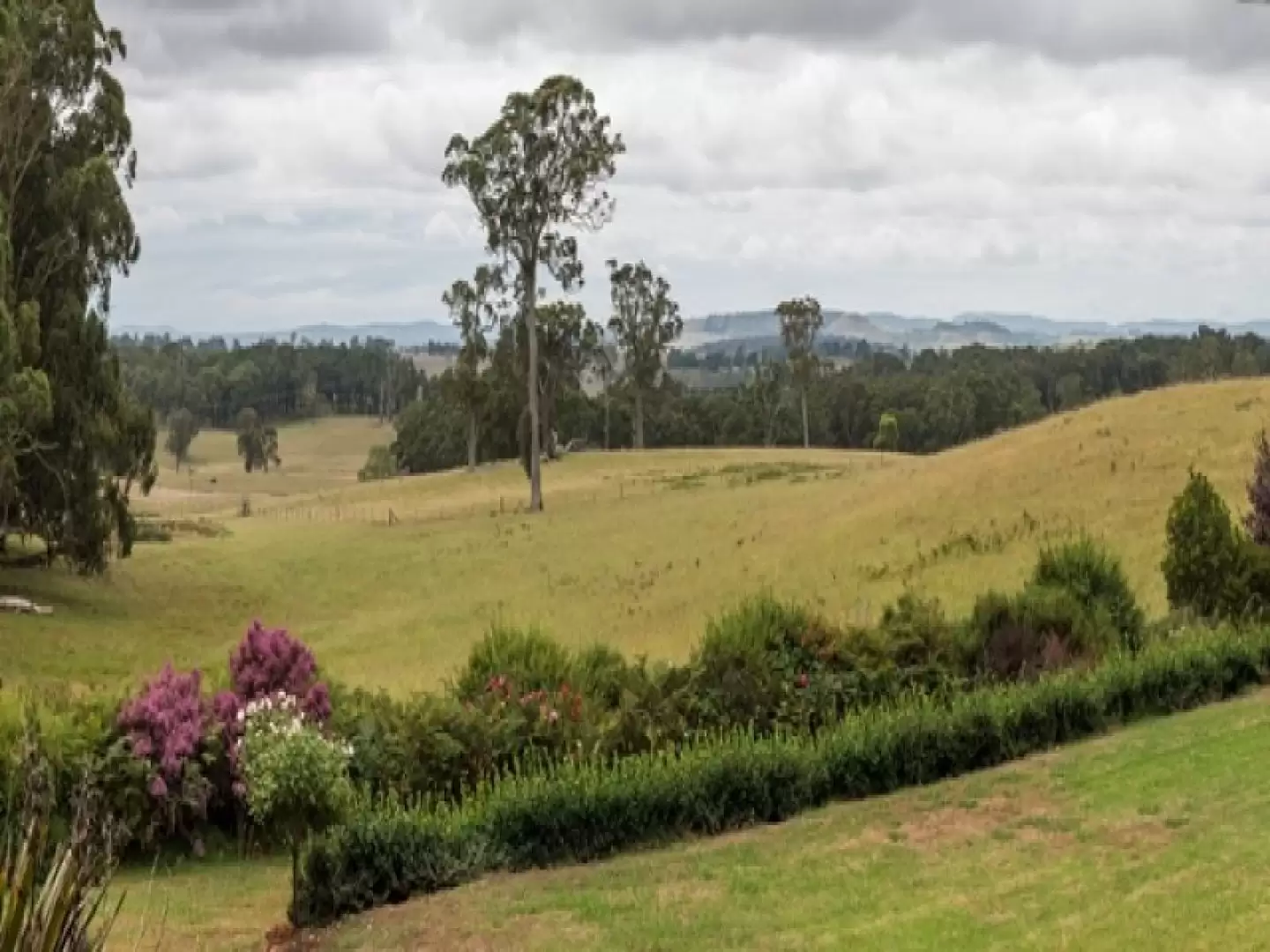 211 Sallys Corner Road, Sutton Forest Sold by Drew Lindsay Sotheby's International Realty - image 13