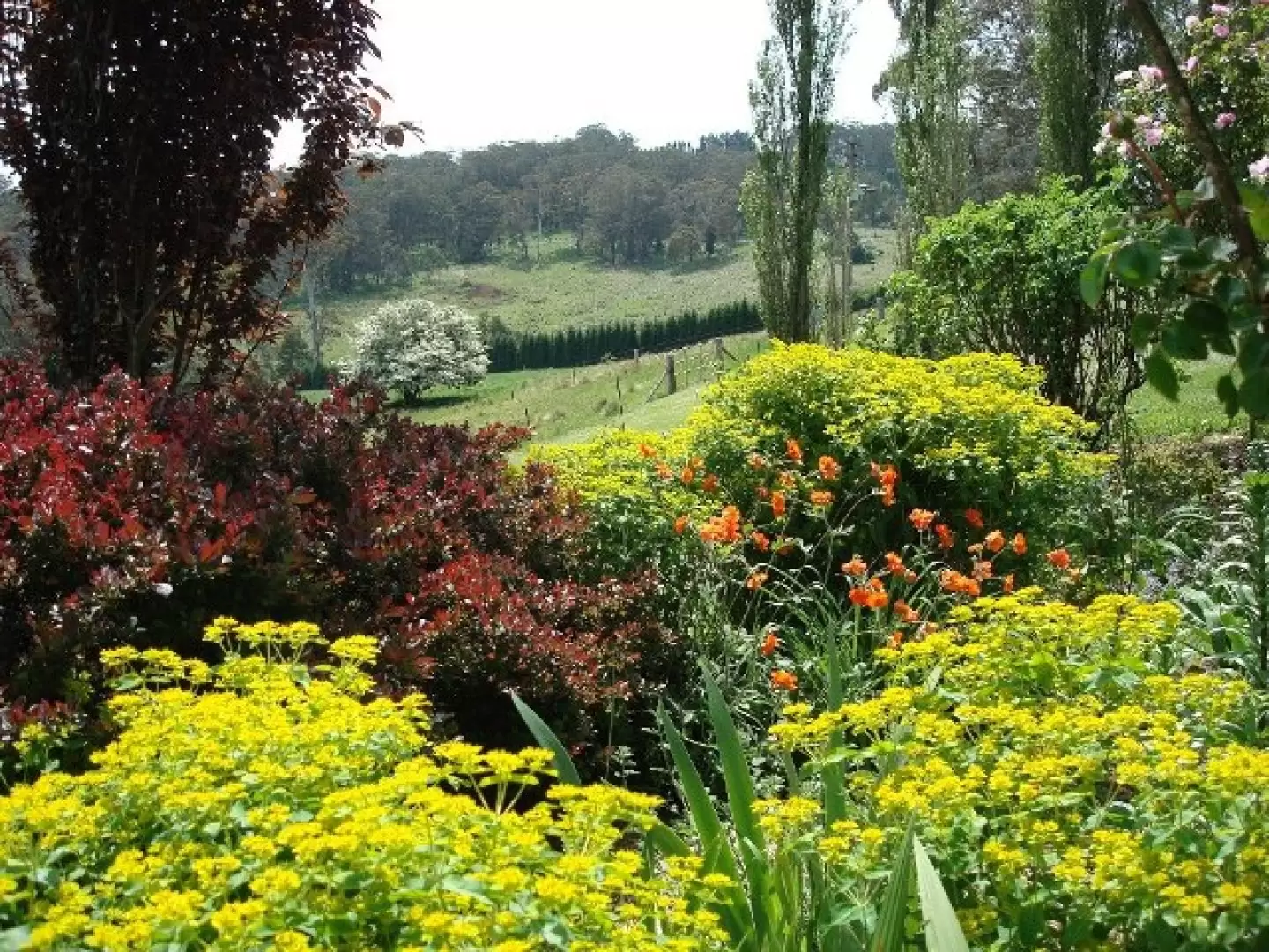 Bowral Sold by Drew Lindsay Sotheby's International Realty - image 20