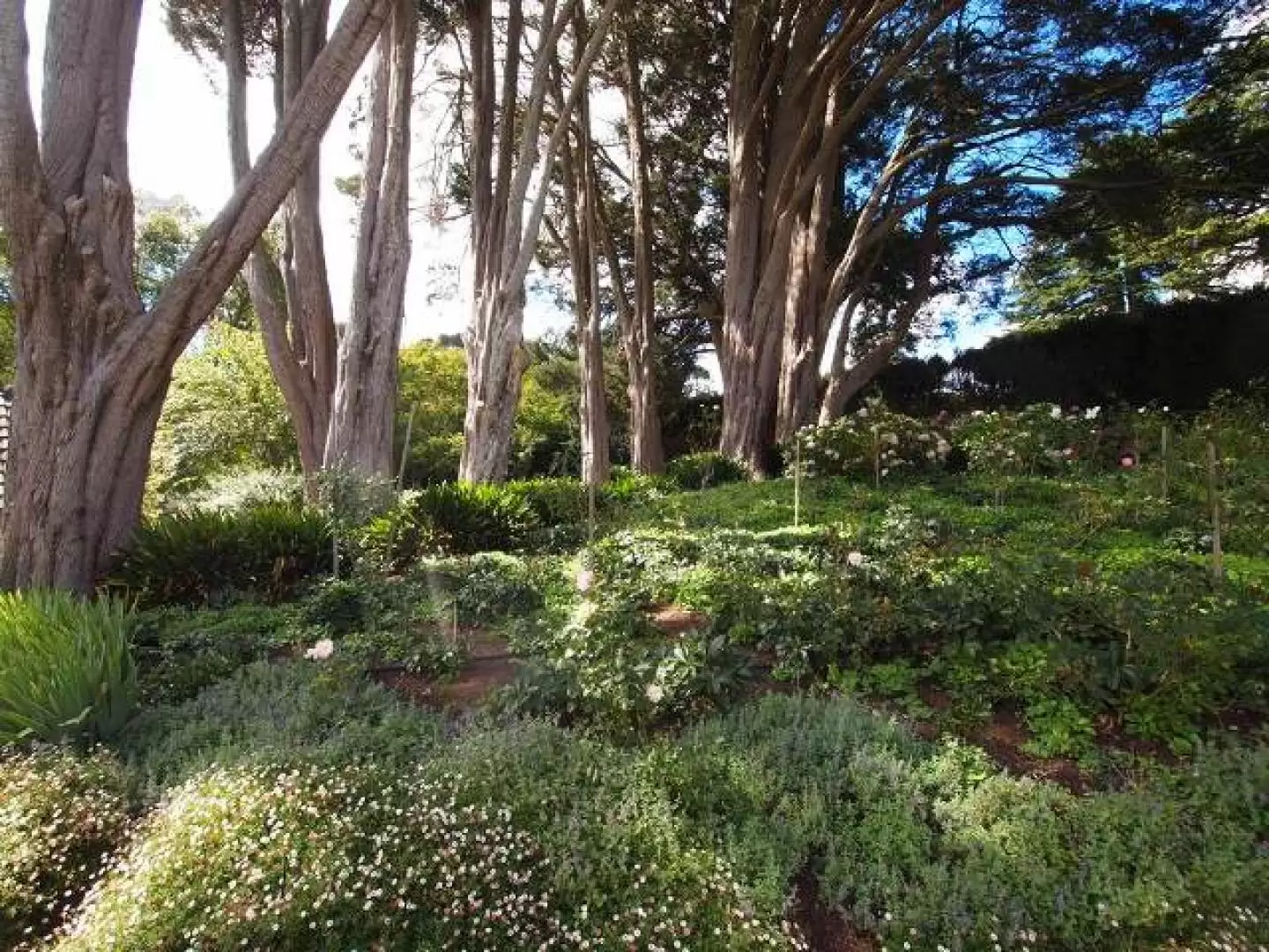 Bowral Sold by Drew Lindsay Sotheby's International Realty - image 21
