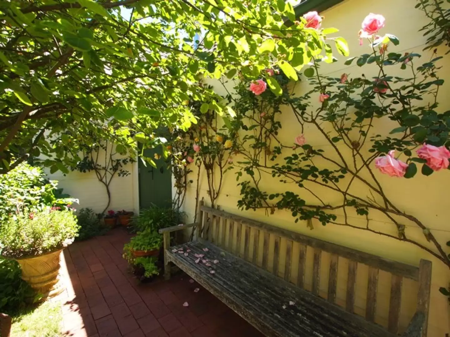 Bowral Sold by Drew Lindsay Sotheby's International Realty - image 3