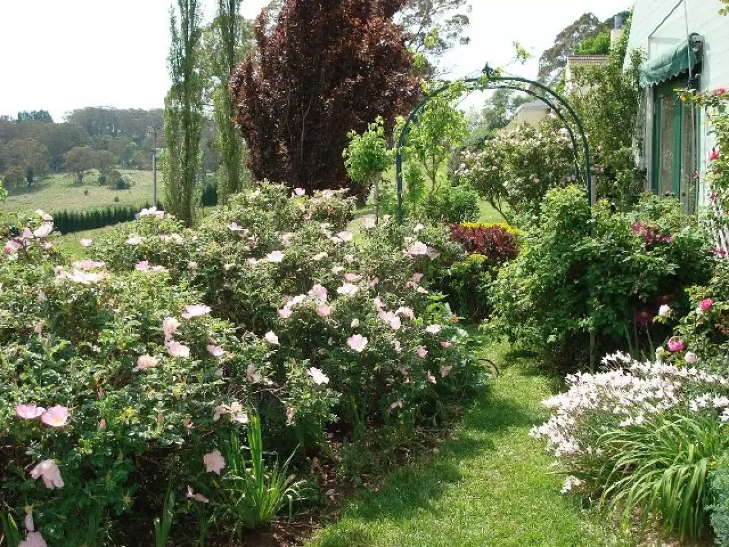 Bowral Sold by Drew Lindsay Sotheby's International Realty - image 18