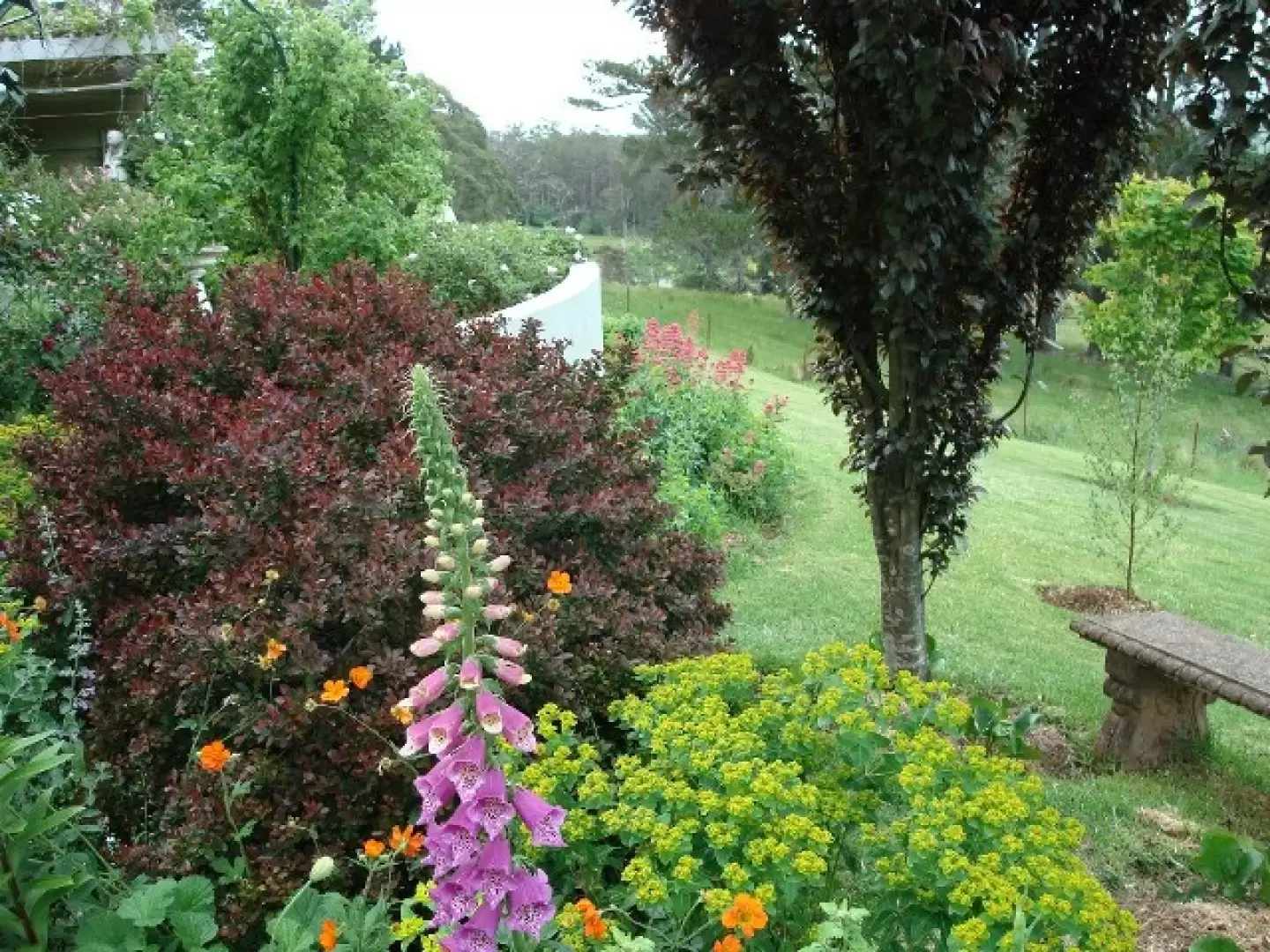 Bowral Sold by Drew Lindsay Sotheby's International Realty - image 17