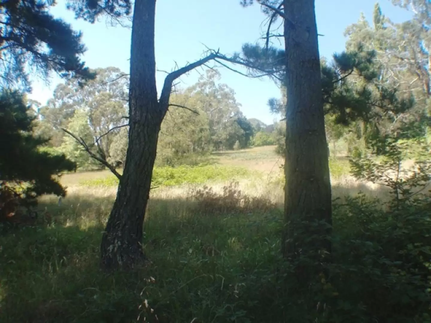Lot 17, 3-7 Acacia Street, Mittagong Sold by Drew Lindsay Sotheby's International Realty - image 2
