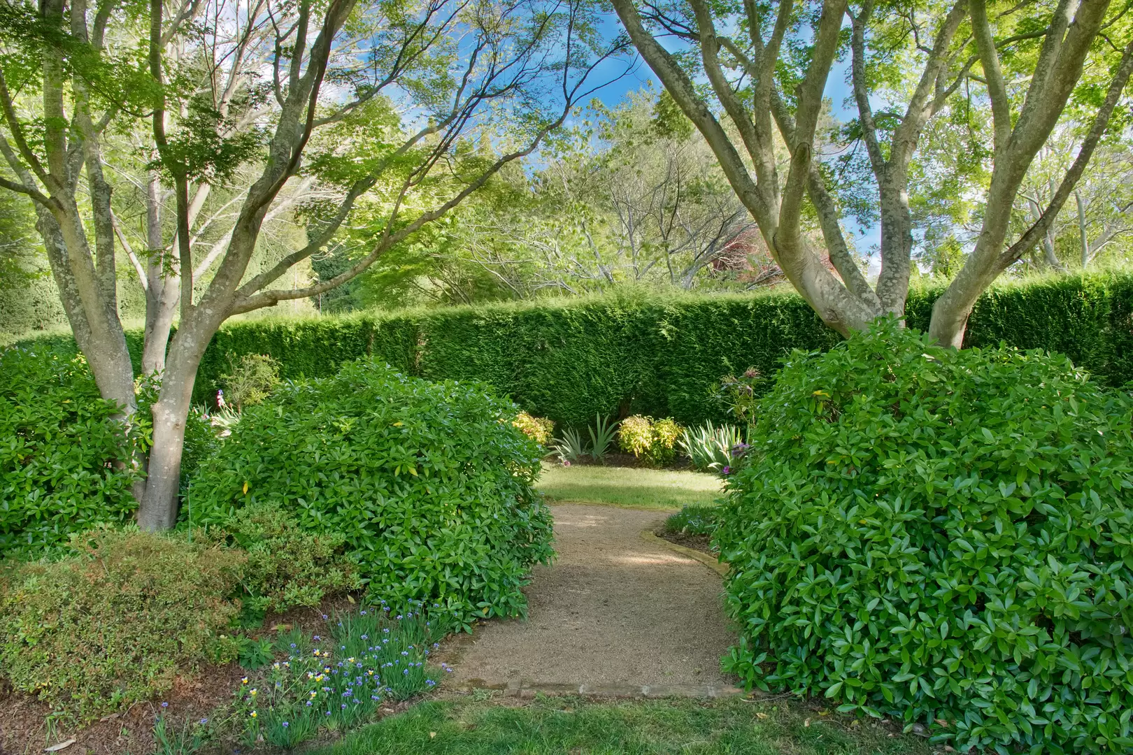 11 Patchway Place, Burradoo Sold by Drew Lindsay Sotheby's International Realty - image 15