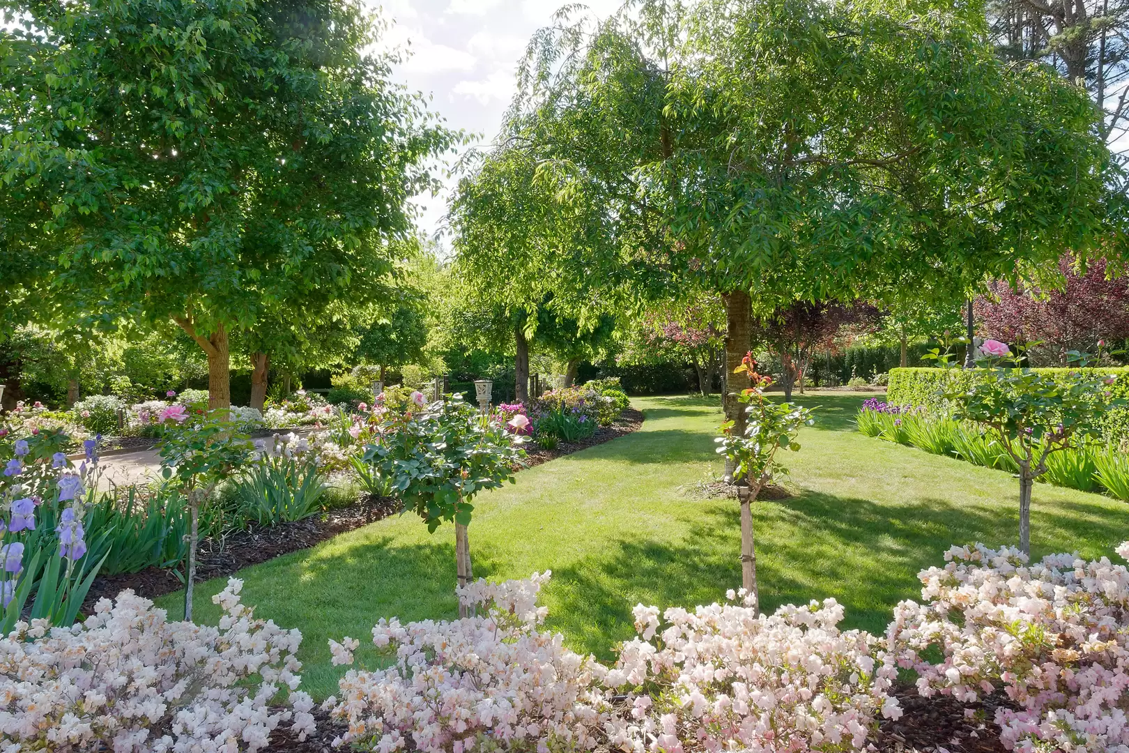 11 Patchway Place, Burradoo Sold by Drew Lindsay Sotheby's International Realty - image 13