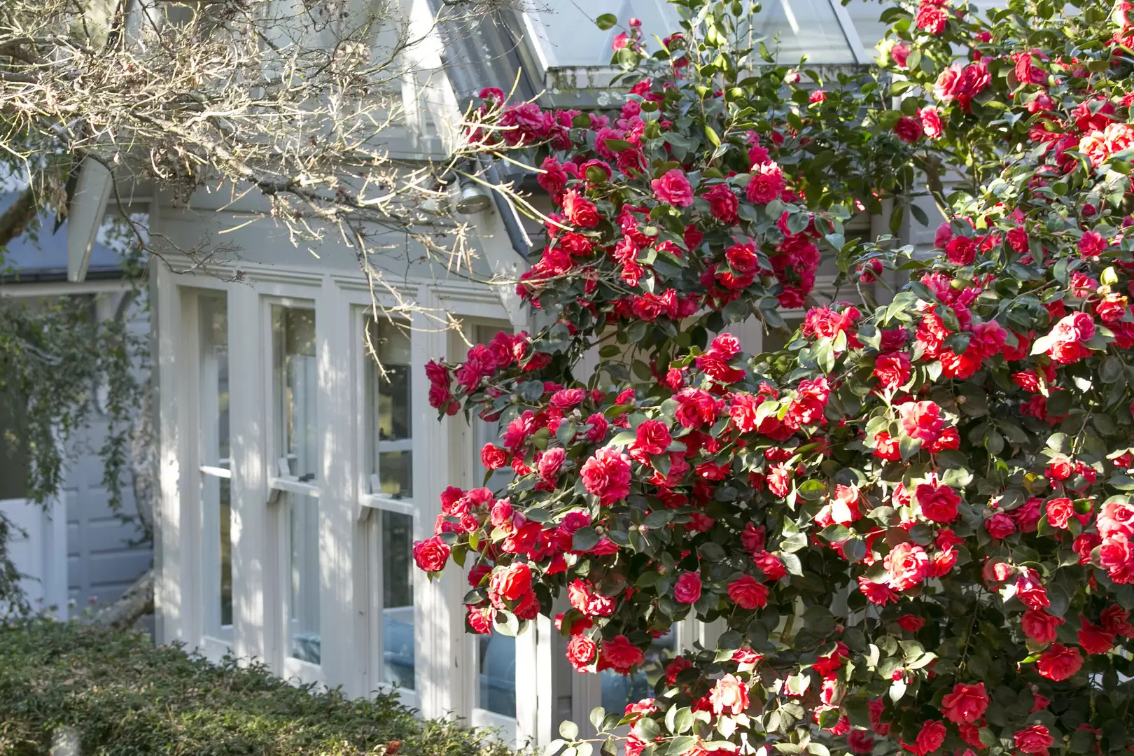 5 Crago Lane, Bowral Sold by Drew Lindsay Sotheby's International Realty - image 19