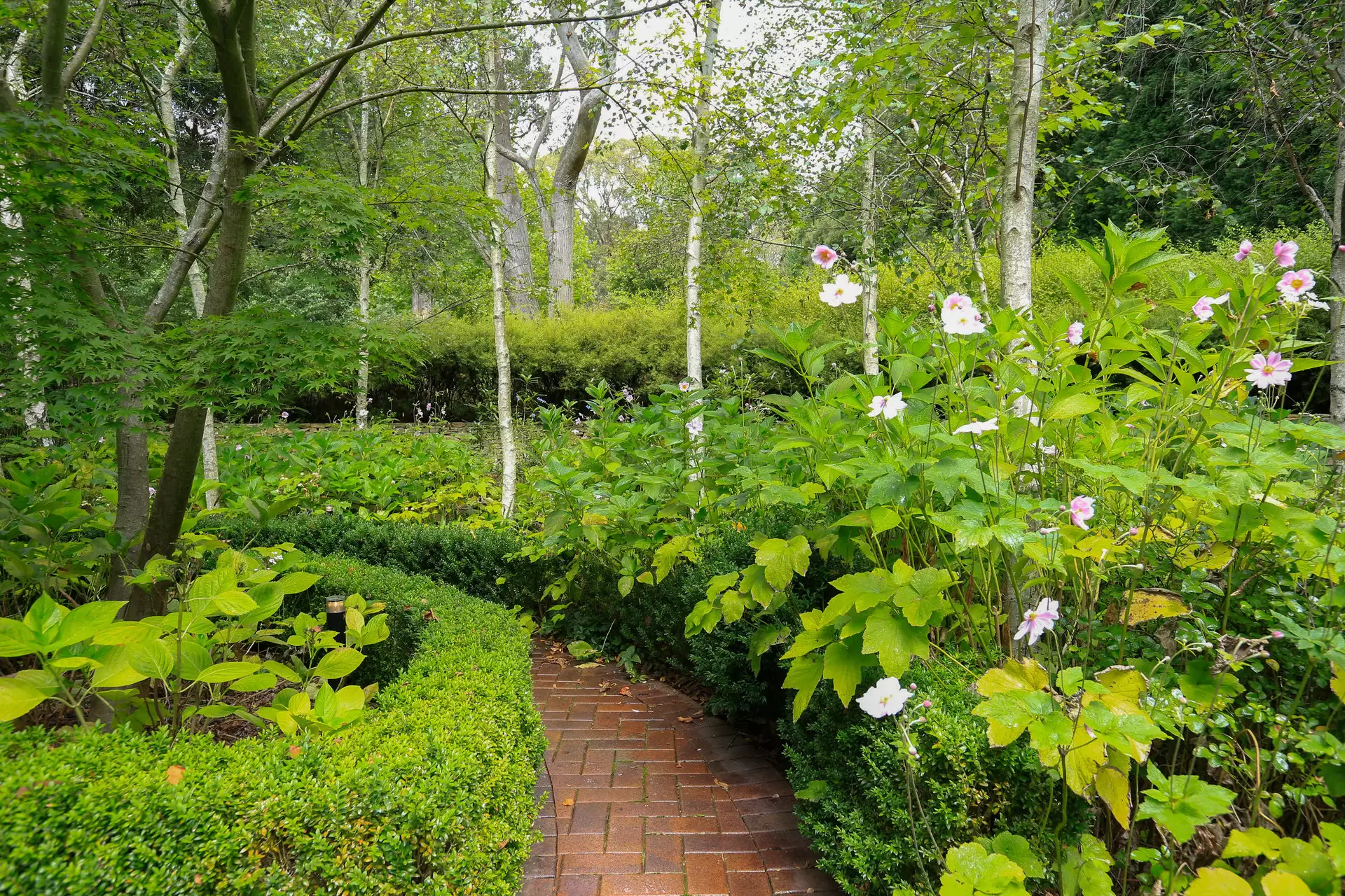 13 Kimberley Drive, Bowral Sold by Drew Lindsay Sotheby's International Realty - image 5
