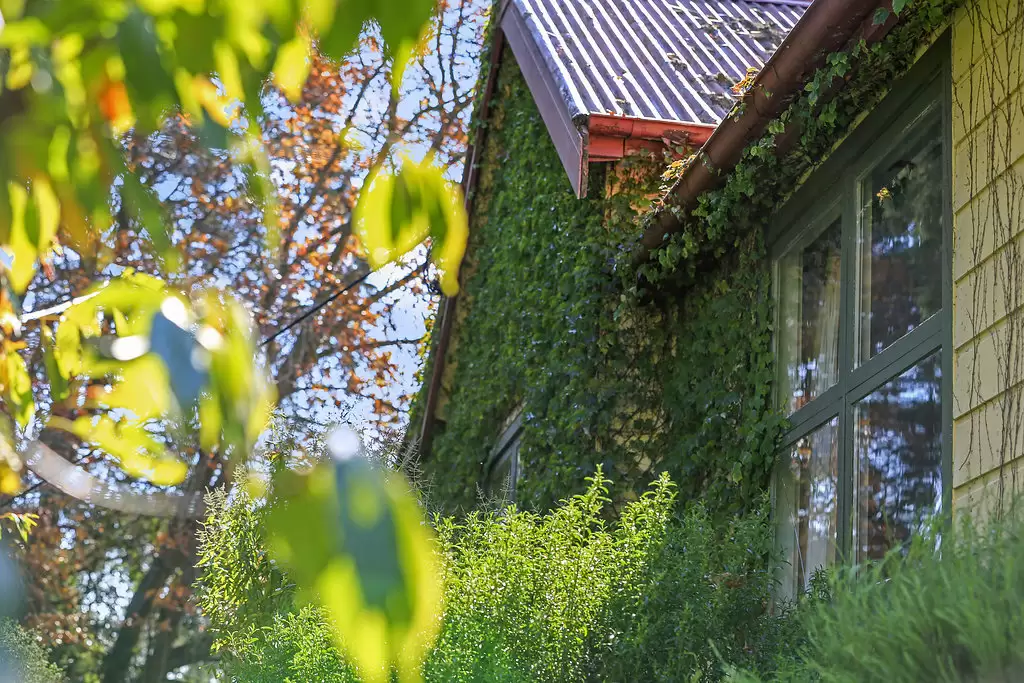 8 Tulloona Avenue, Bowral Sold by Drew Lindsay Sotheby's International Realty - image 12