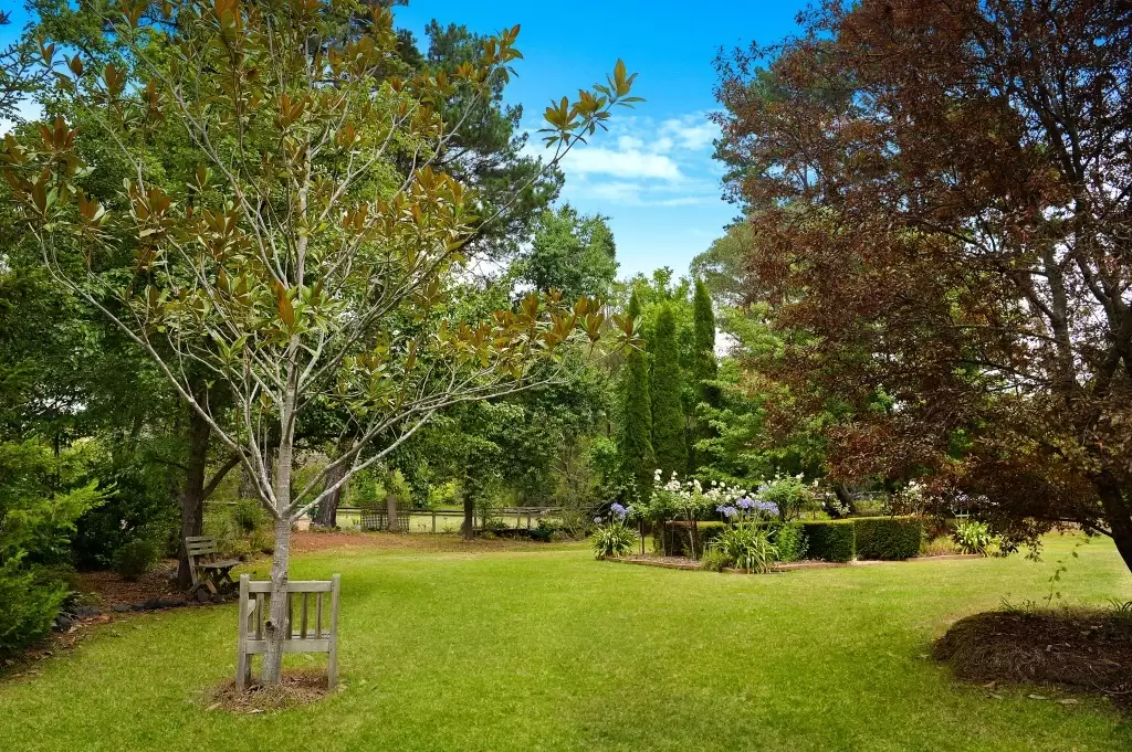 Burradoo Sold by Drew Lindsay Sotheby's International Realty - image 14
