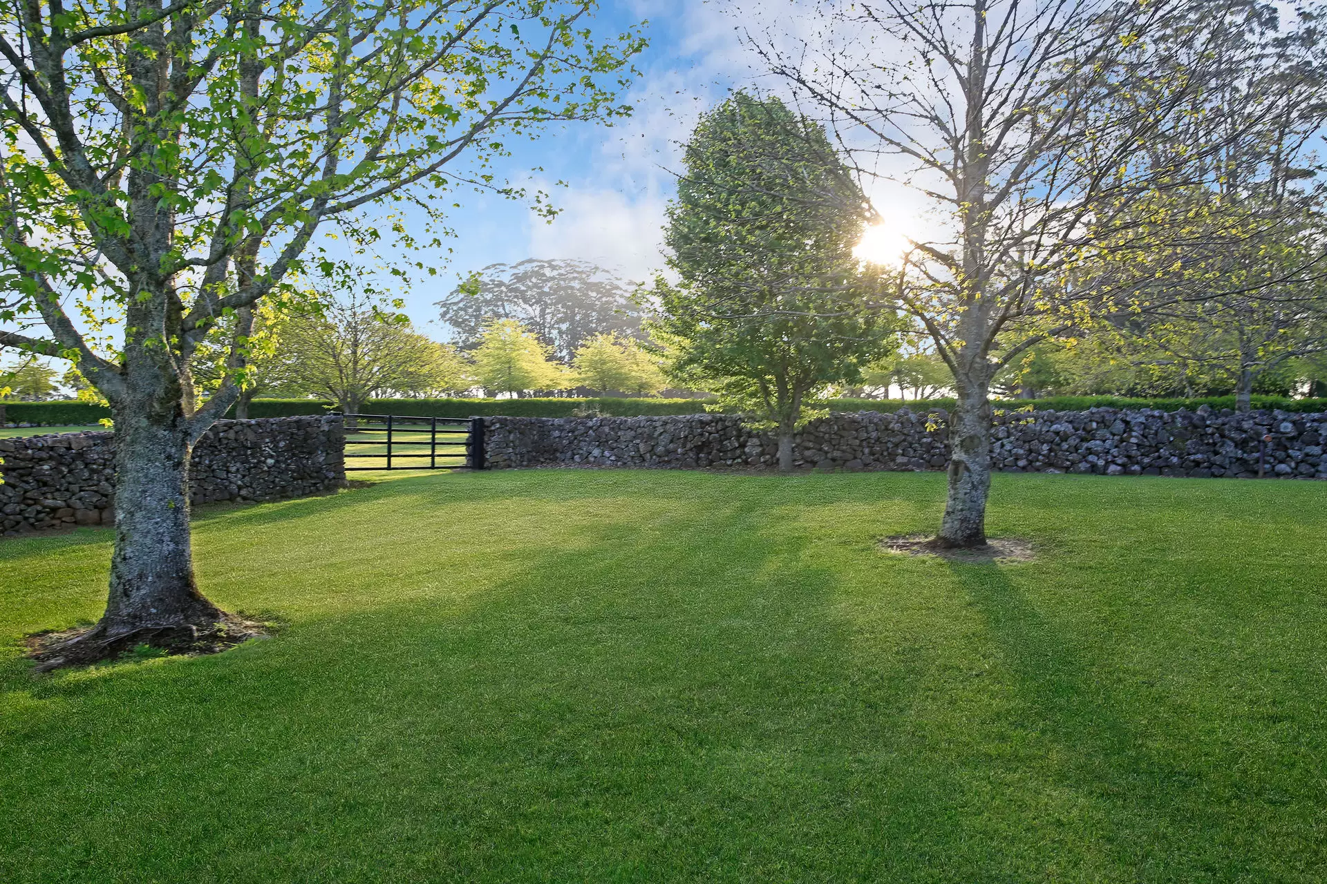 Wildes Meadow Sold by Drew Lindsay Sotheby's International Realty - image 14