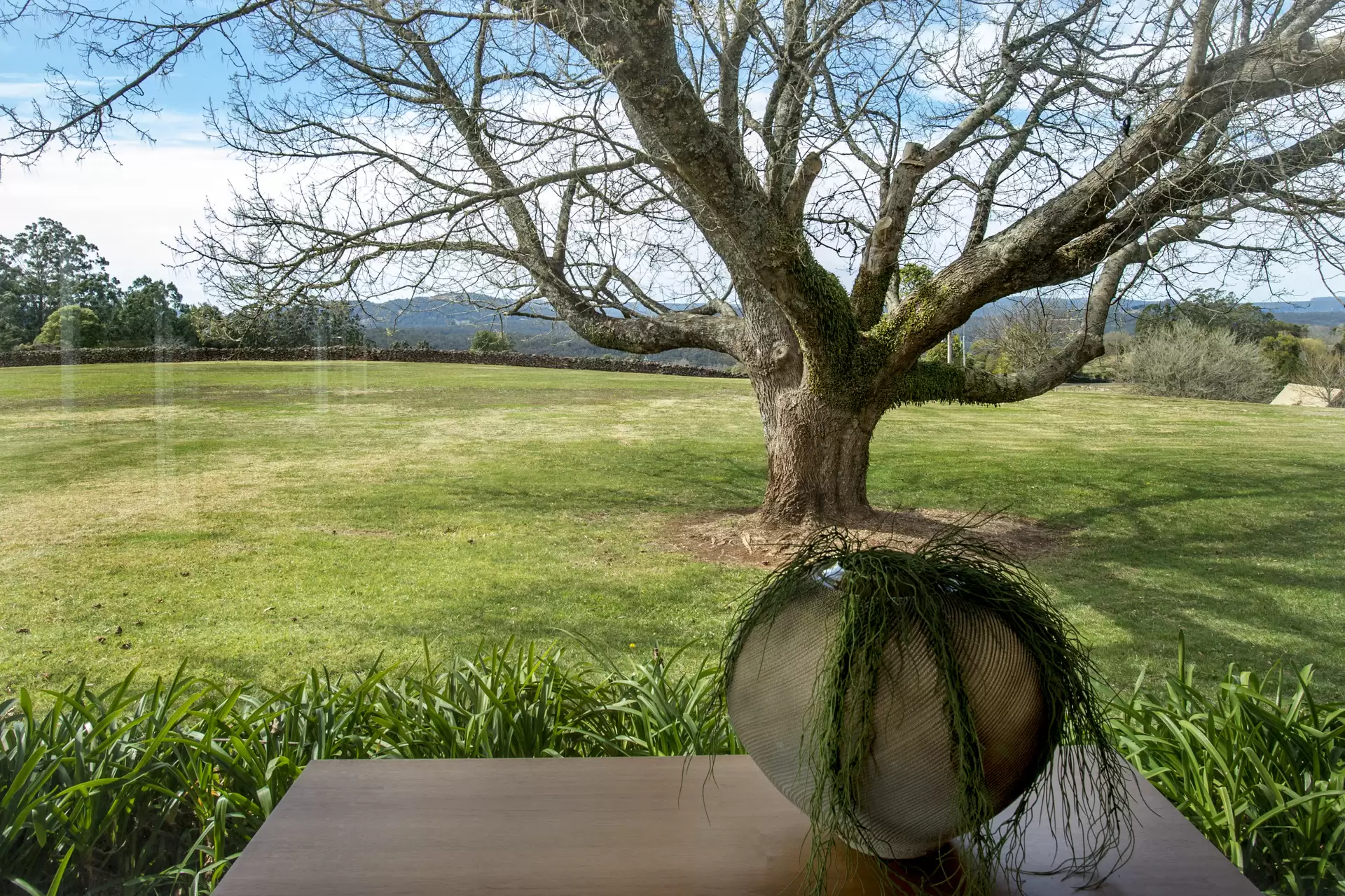 Wildes Meadow Sold by Drew Lindsay Sotheby's International Realty - image 12