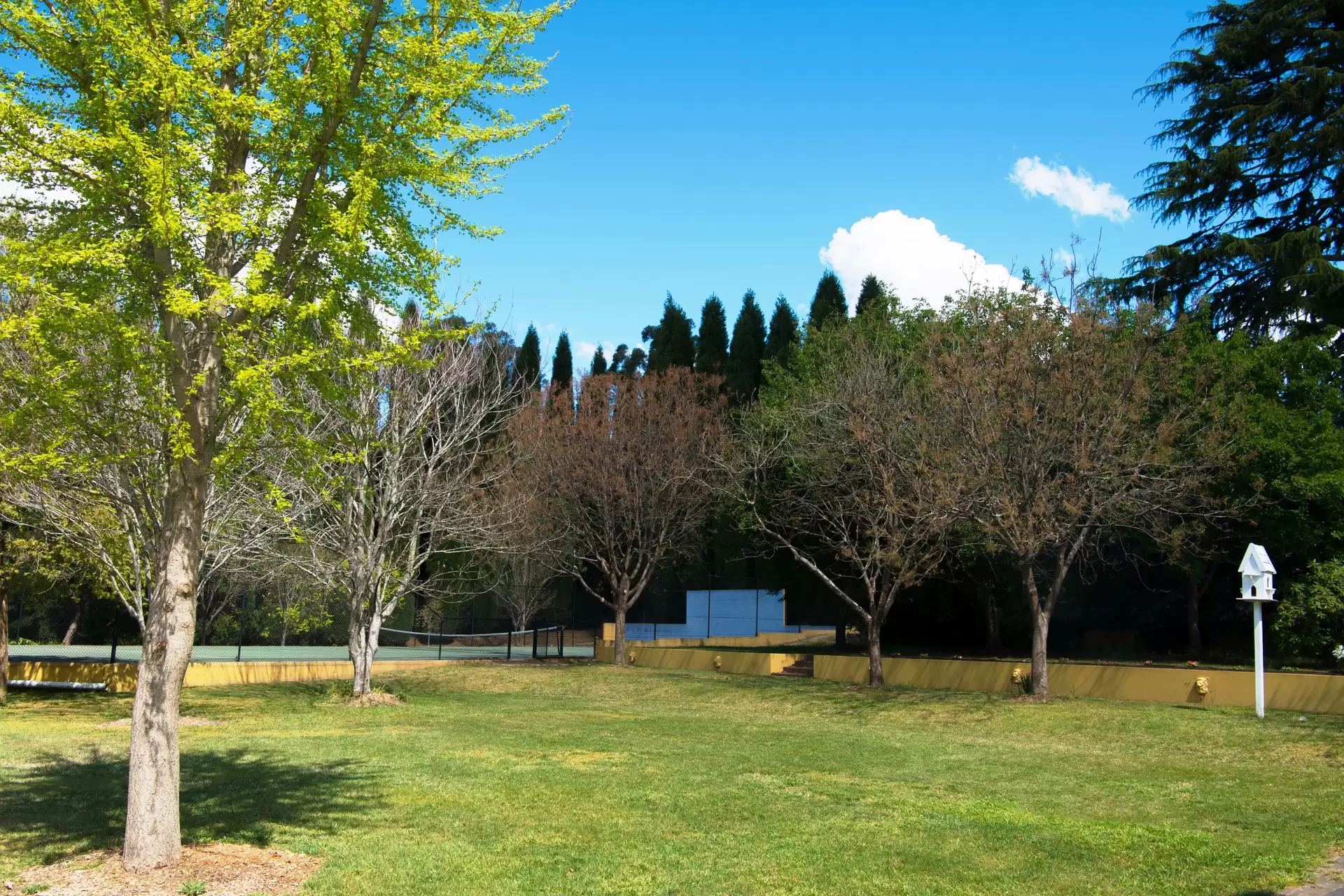Burradoo Sold by Drew Lindsay Sotheby's International Realty - image 15