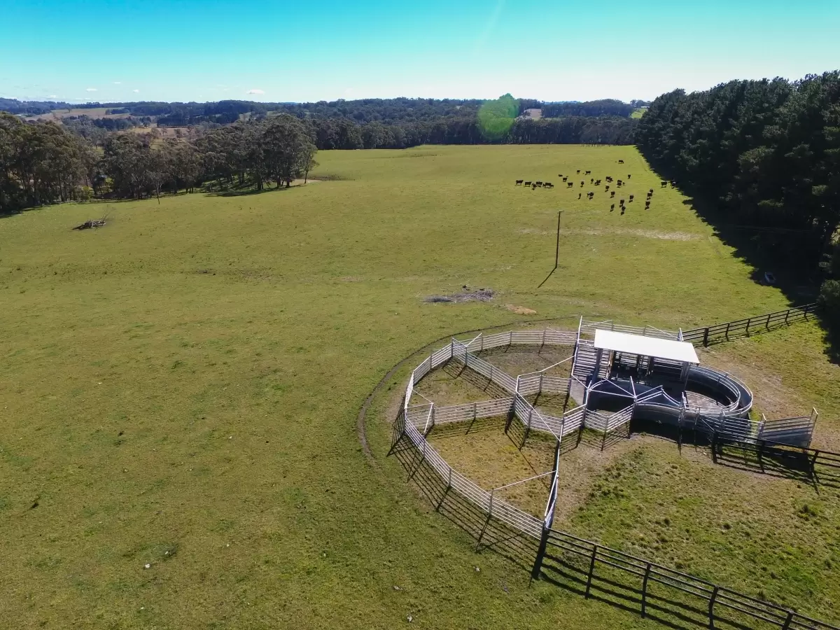 Fitzroy Falls Sold by Drew Lindsay Sotheby's International Realty - image 20
