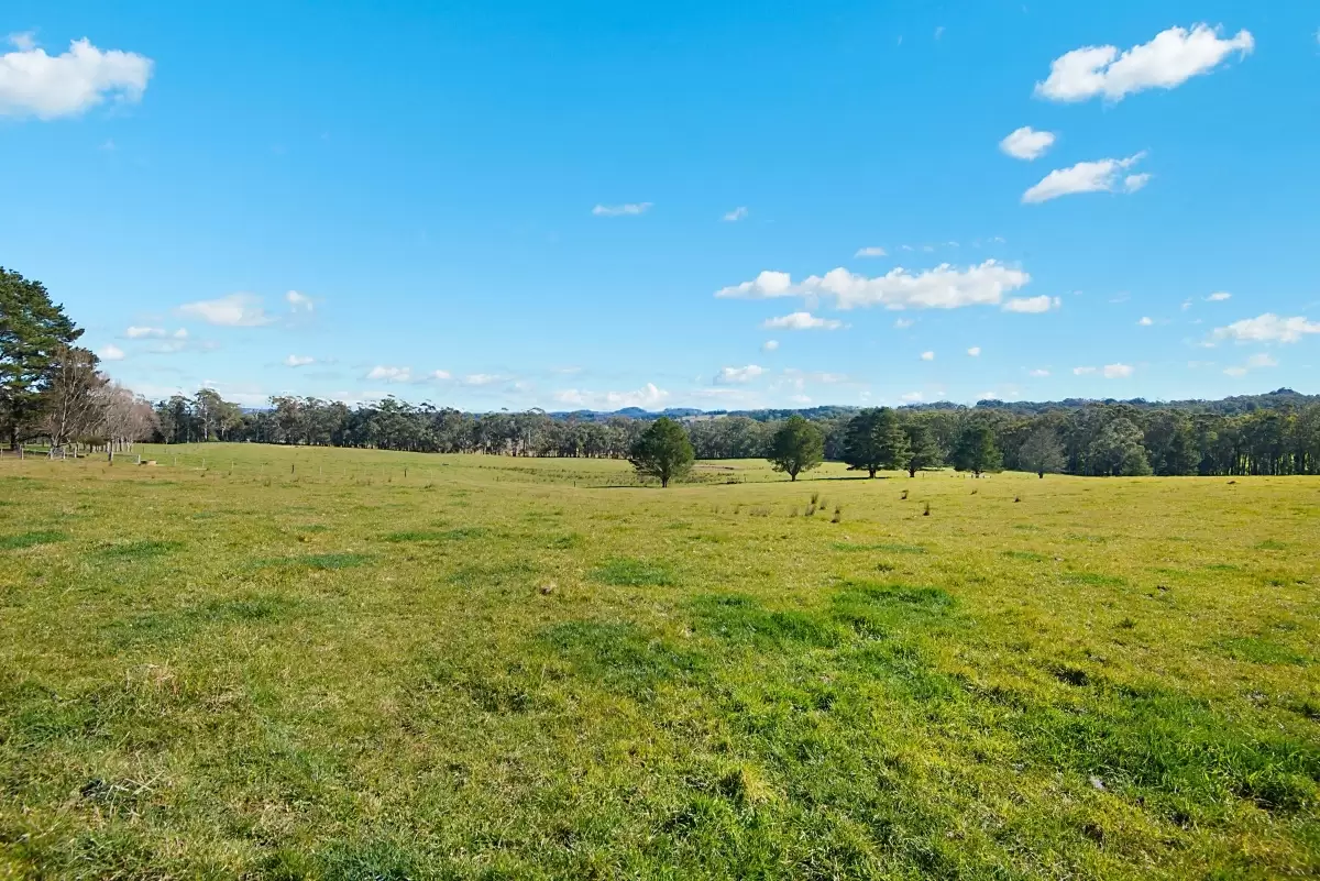 Fitzroy Falls Sold by Drew Lindsay Sotheby's International Realty - image 21