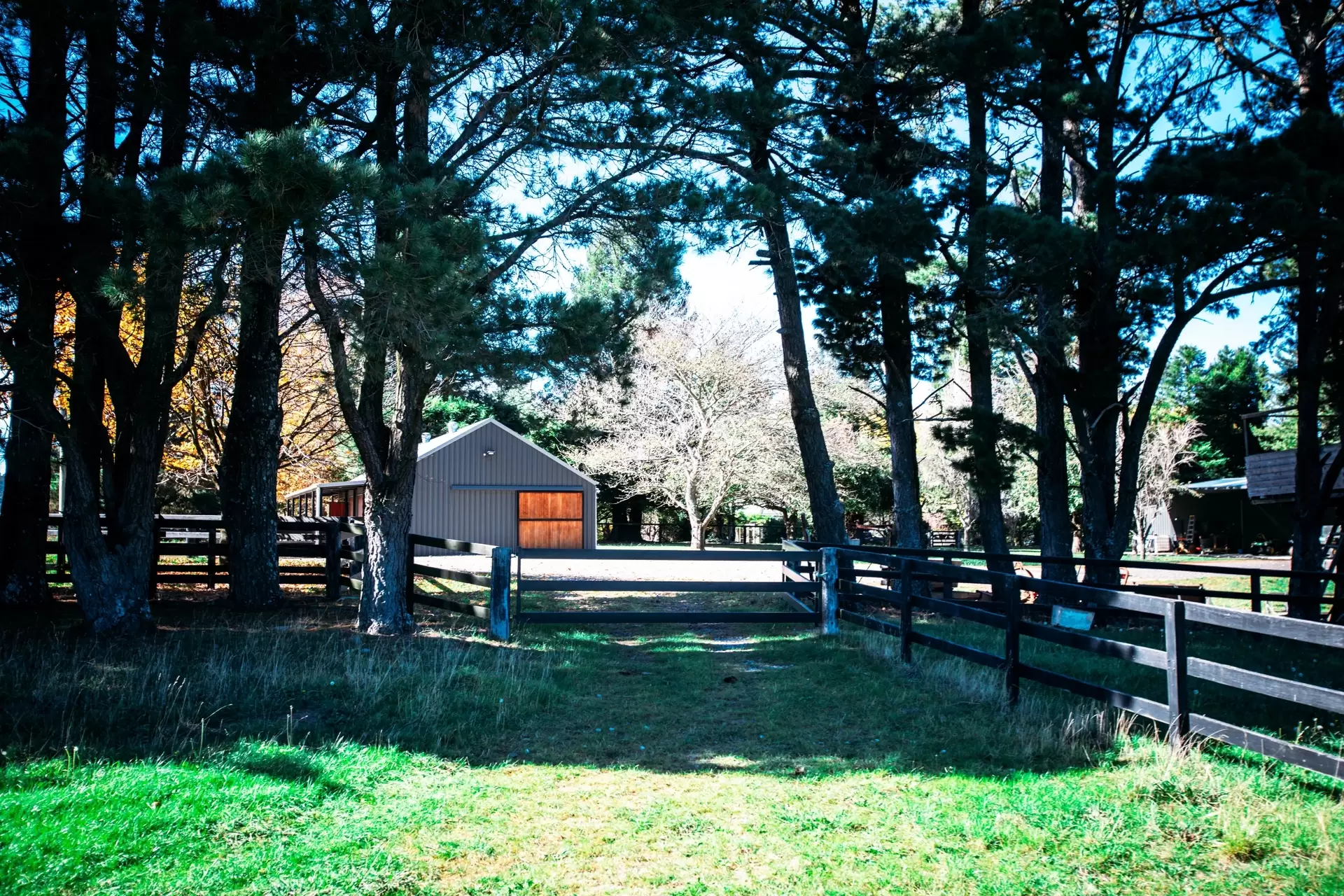 Fitzroy Falls Sold by Drew Lindsay Sotheby's International Realty - image 18