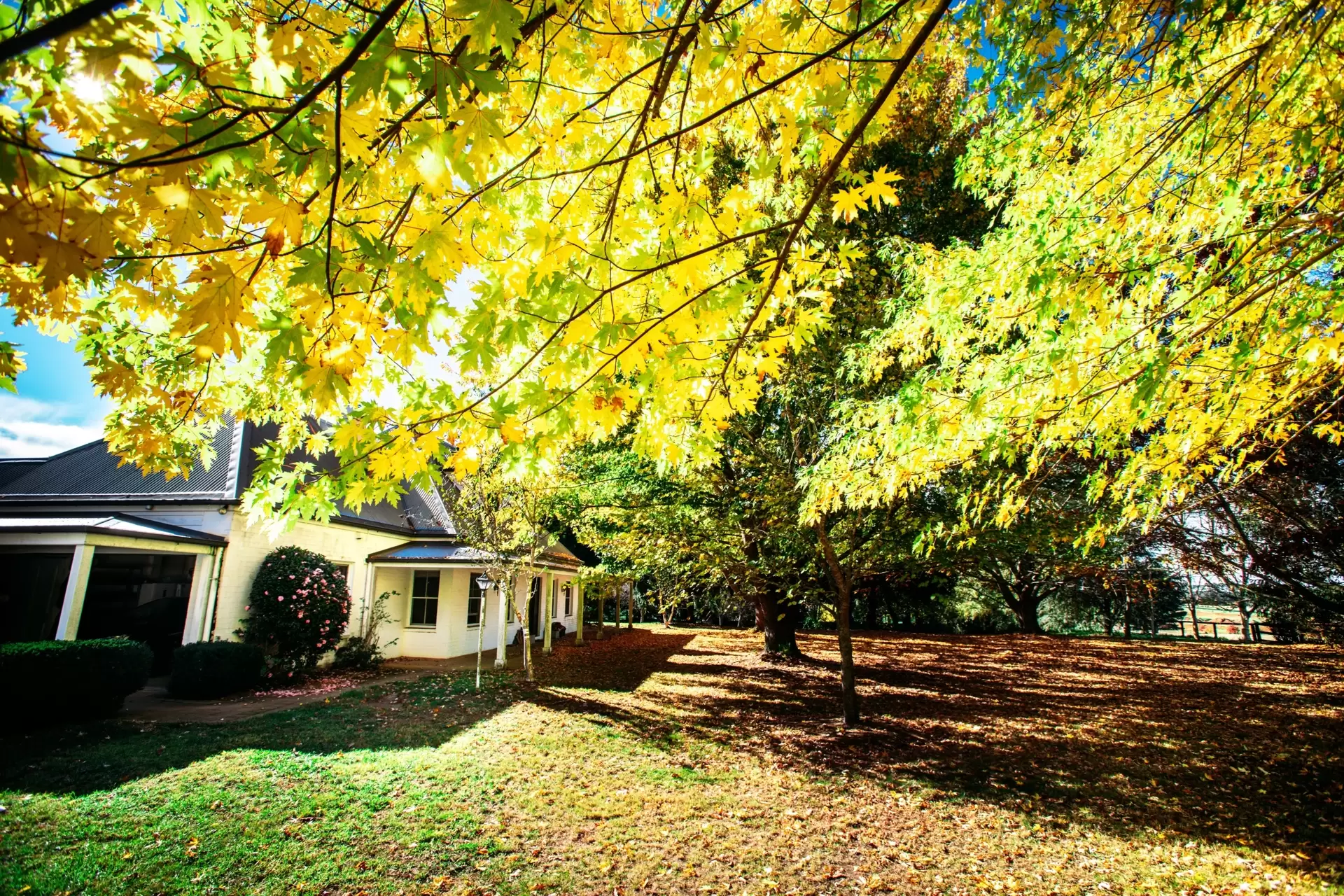 Fitzroy Falls Sold by Drew Lindsay Sotheby's International Realty - image 4