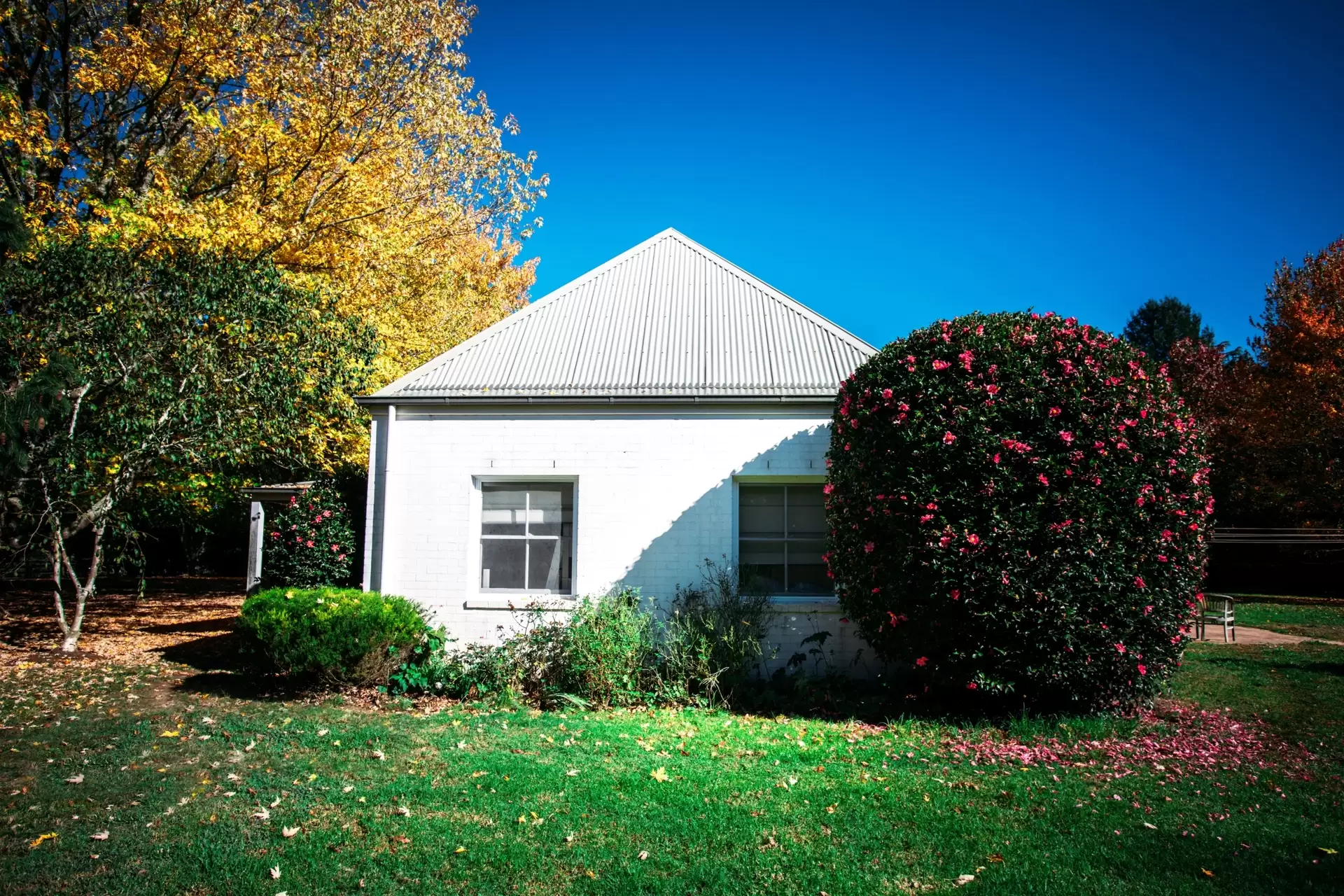 Fitzroy Falls Sold by Drew Lindsay Sotheby's International Realty - image 5