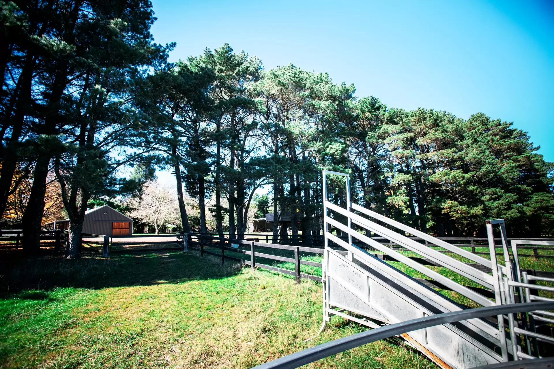 Fitzroy Falls Sold by Drew Lindsay Sotheby's International Realty - image 17