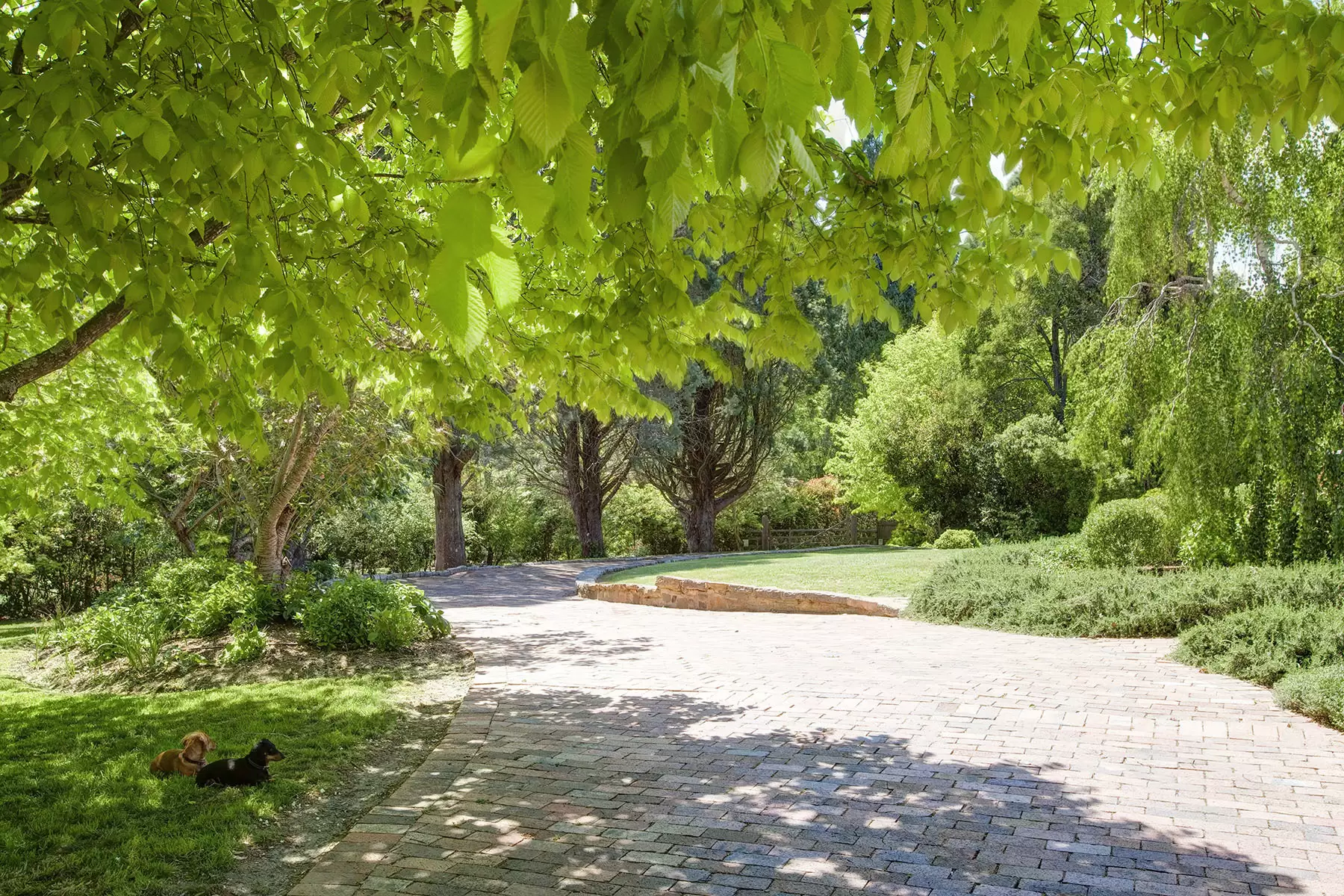 Burradoo Sold by Drew Lindsay Sotheby's International Realty - image 20