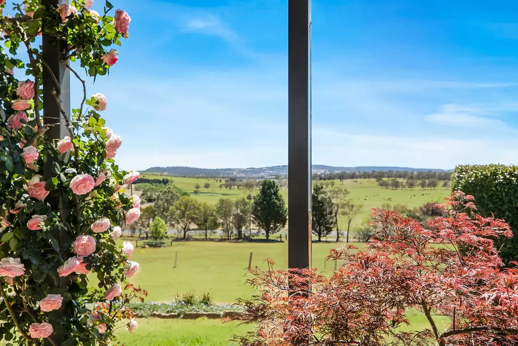 341 Oldbury Road, Sutton Forest Sold by Drew Lindsay Sotheby's International Realty - image 4