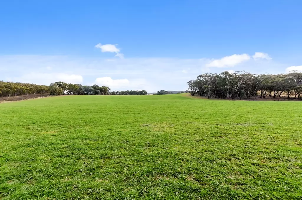 Marulan Sold by Drew Lindsay Sotheby's International Realty - image 2