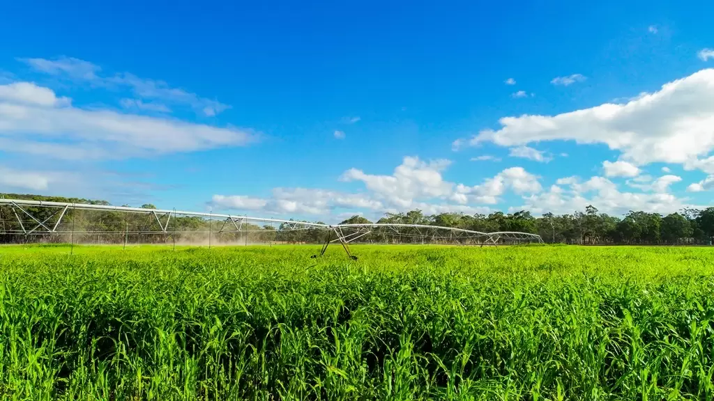 Marulan Sold by Drew Lindsay Sotheby's International Realty - image 1