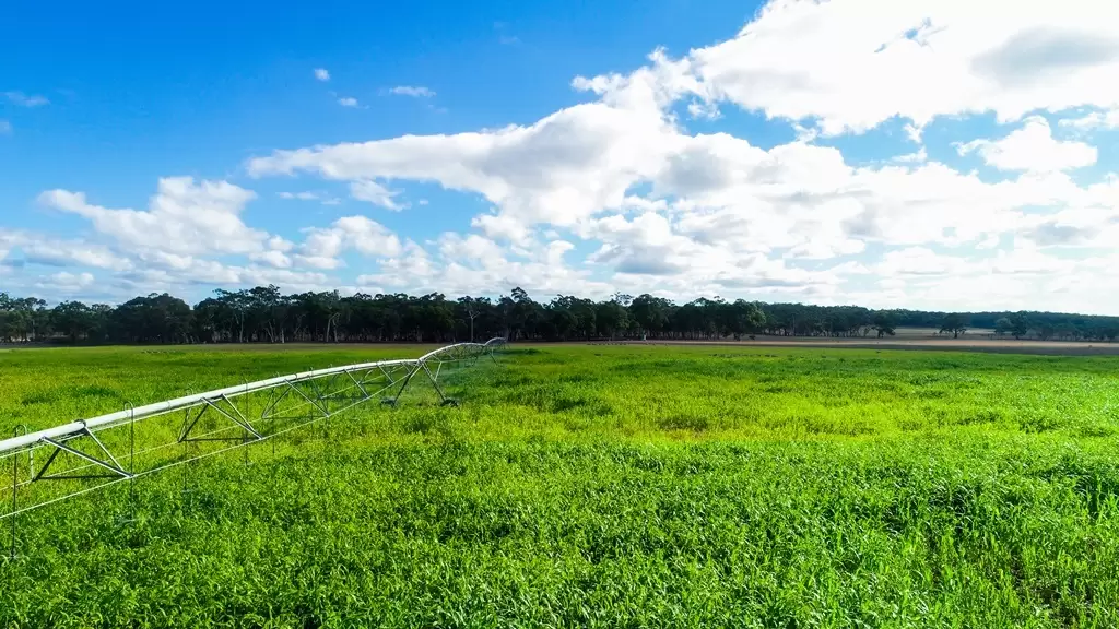 Marulan Sold by Drew Lindsay Sotheby's International Realty - image 3