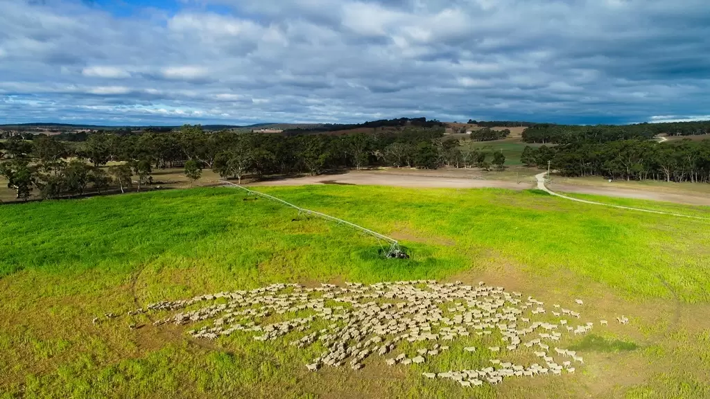Marulan Sold by Drew Lindsay Sotheby's International Realty - image 15
