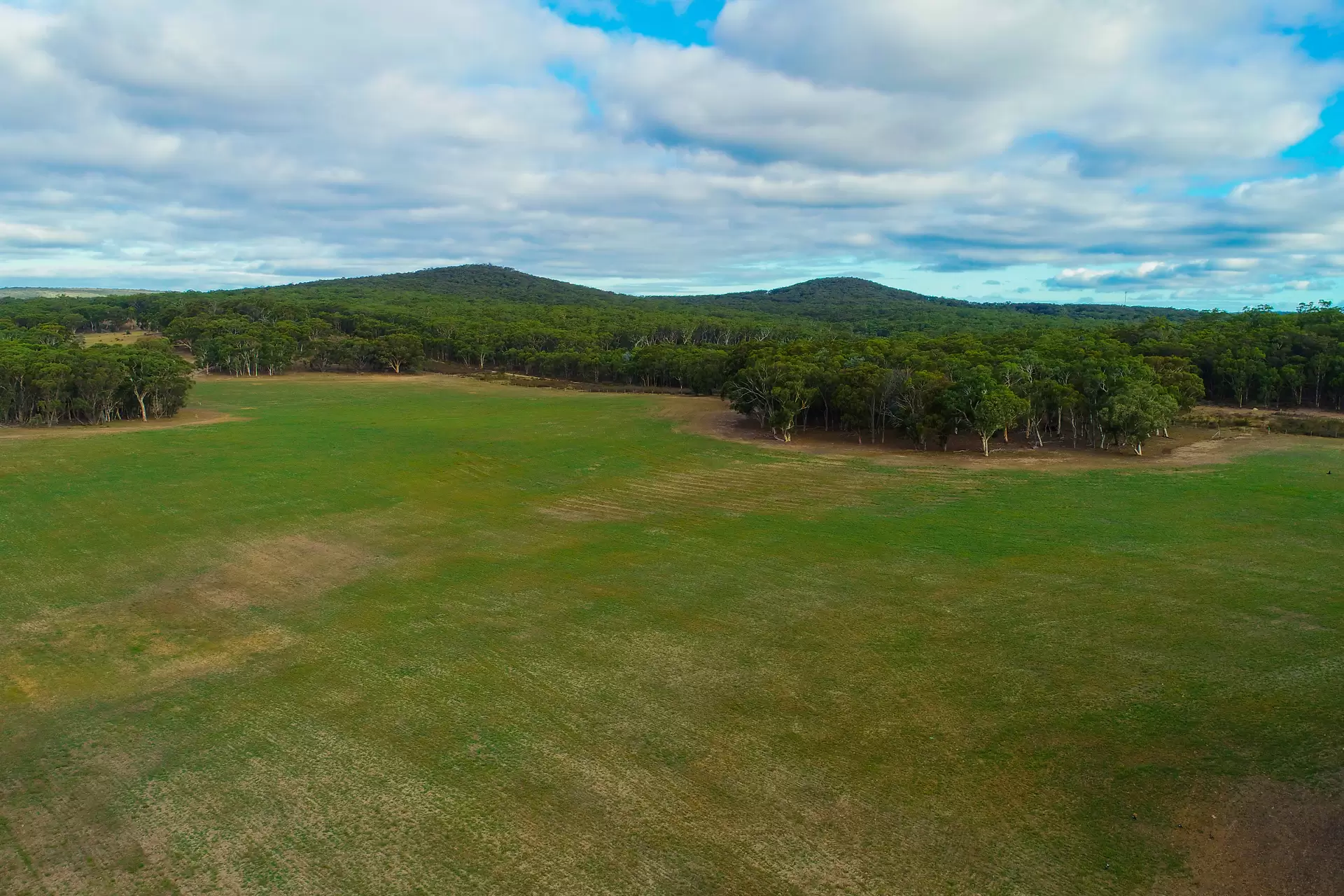 Marulan Sold by Drew Lindsay Sotheby's International Realty - image 18