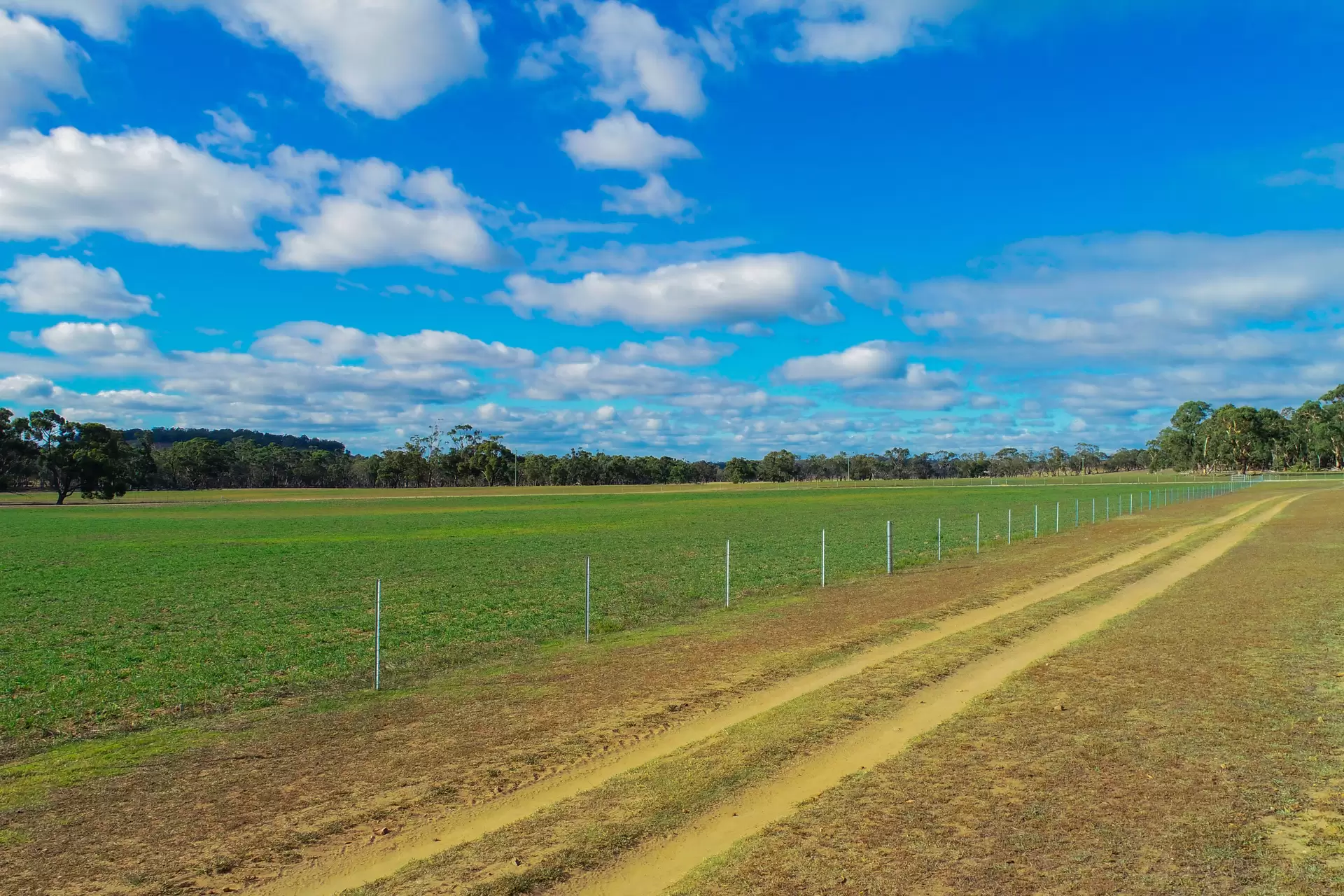 Marulan Sold by Drew Lindsay Sotheby's International Realty - image 17