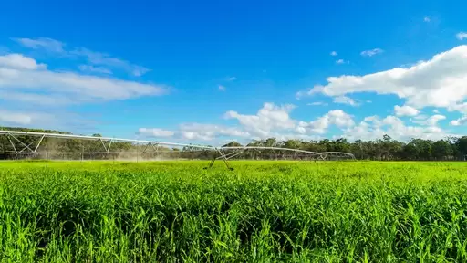 Marulan Sold by Drew Lindsay Sotheby's International Realty