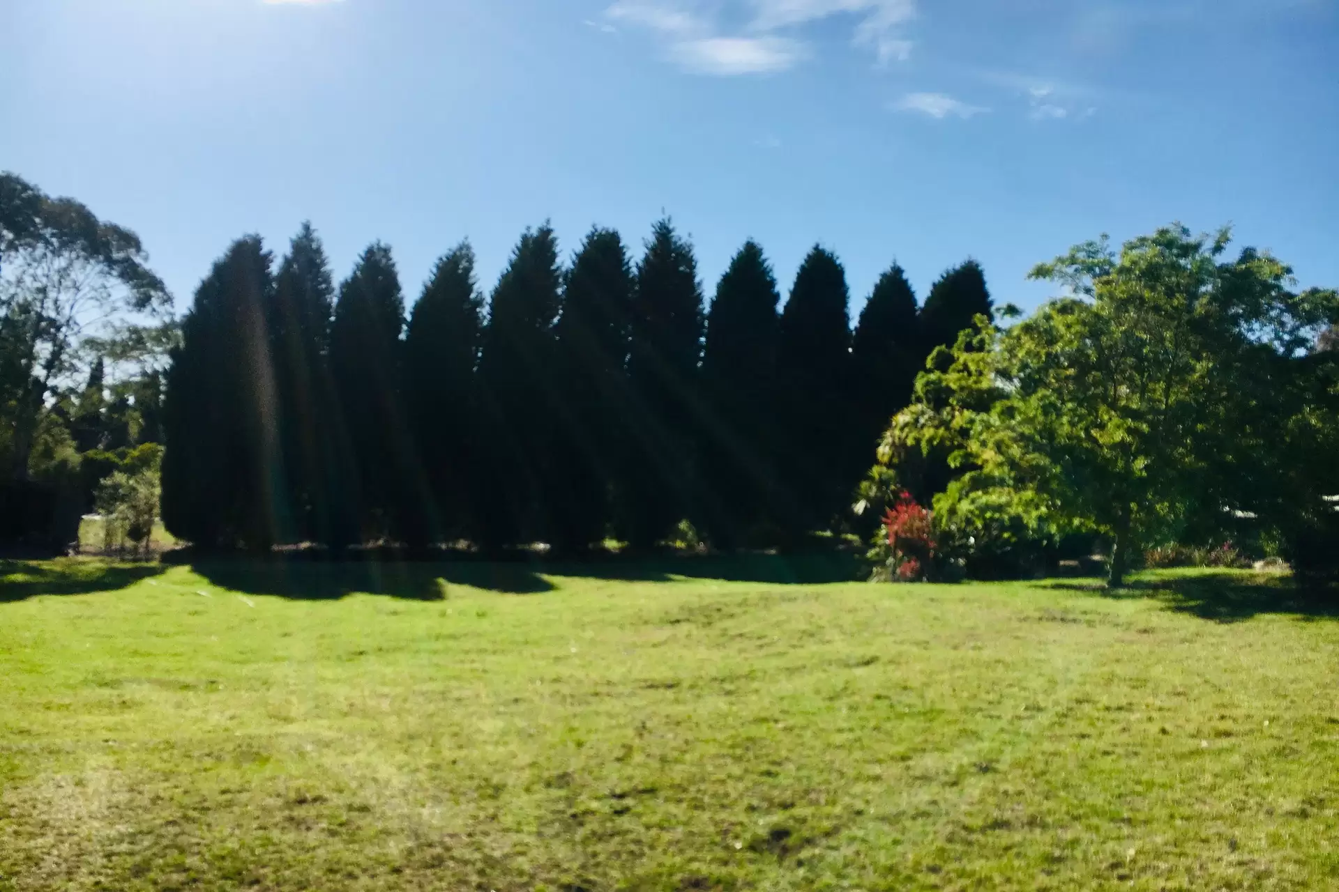 Bowral Sold by Drew Lindsay Sotheby's International Realty - image 5