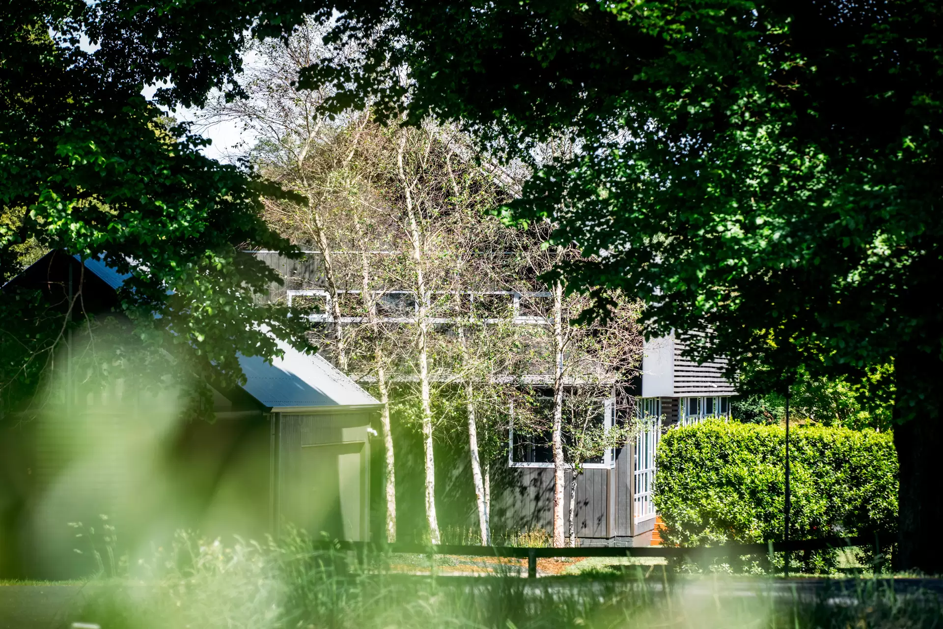 Burrawang Sold by Drew Lindsay Sotheby's International Realty - image 22