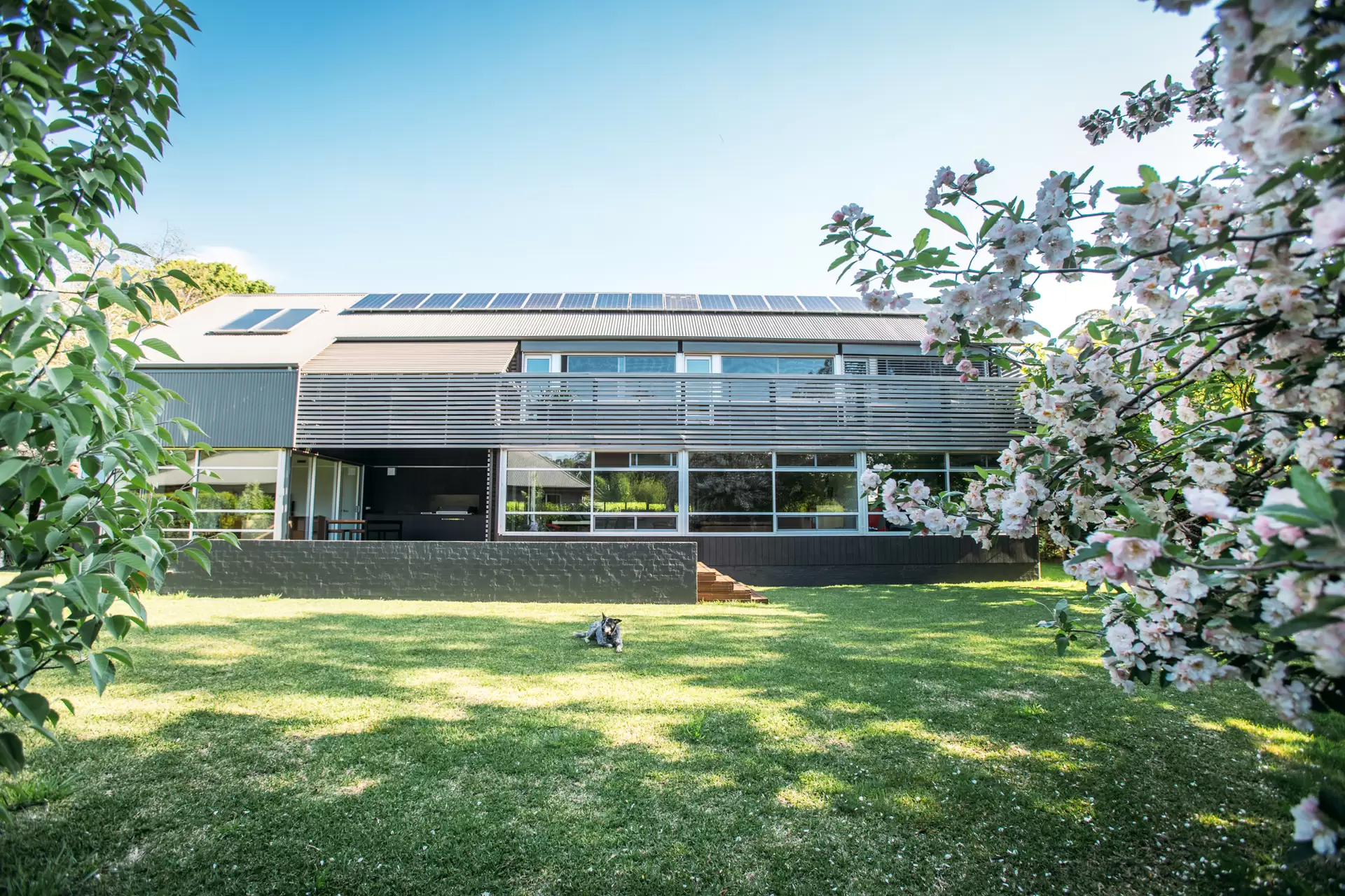 Burrawang Sold by Drew Lindsay Sotheby's International Realty - image 9