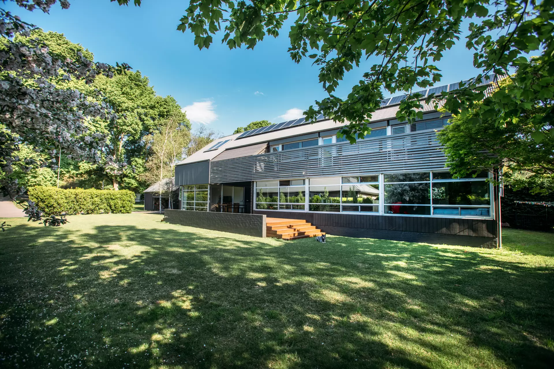 Burrawang Sold by Drew Lindsay Sotheby's International Realty - image 1