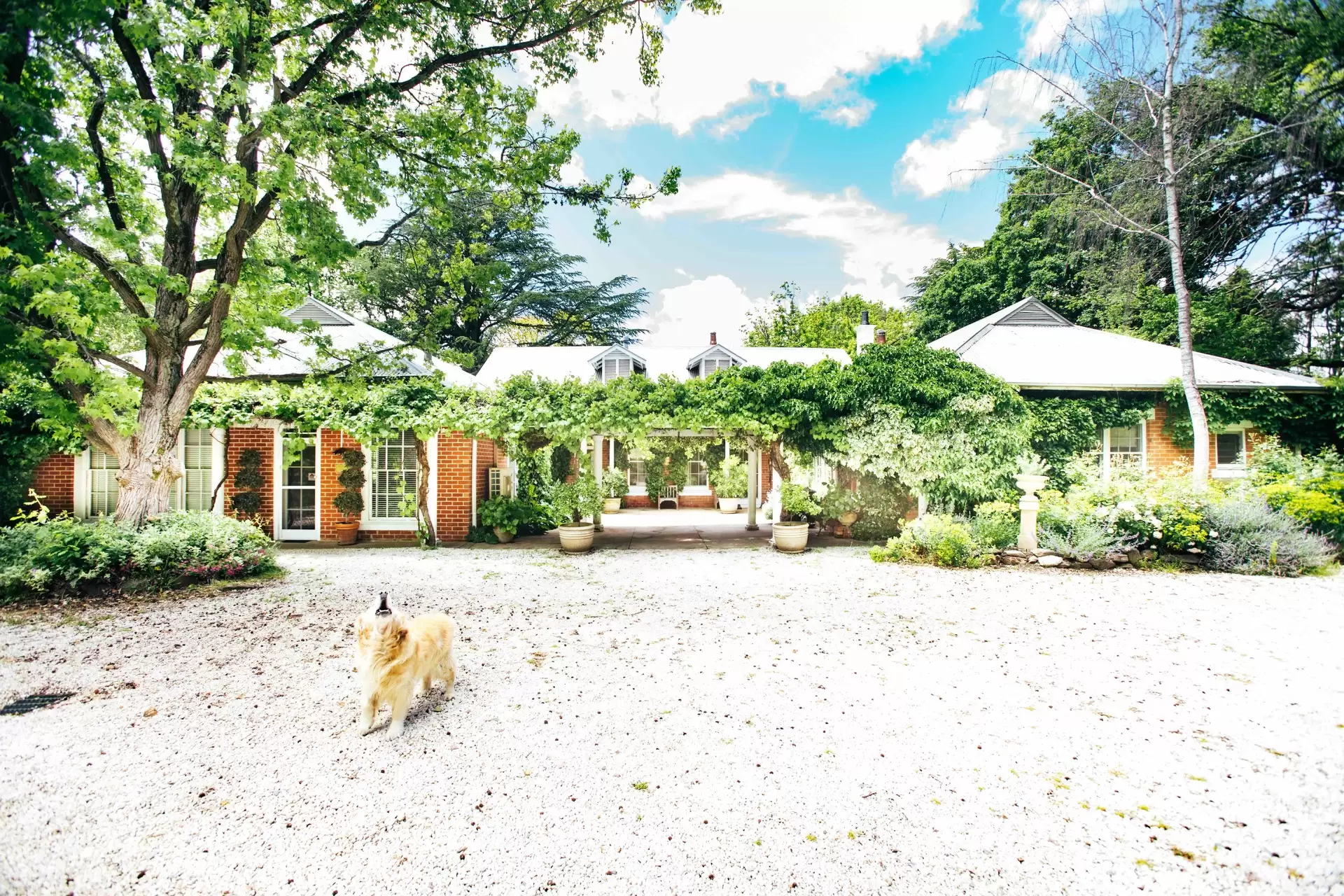 954 Icely Road, Orange Sold by Drew Lindsay Sotheby's International Realty - image 5
