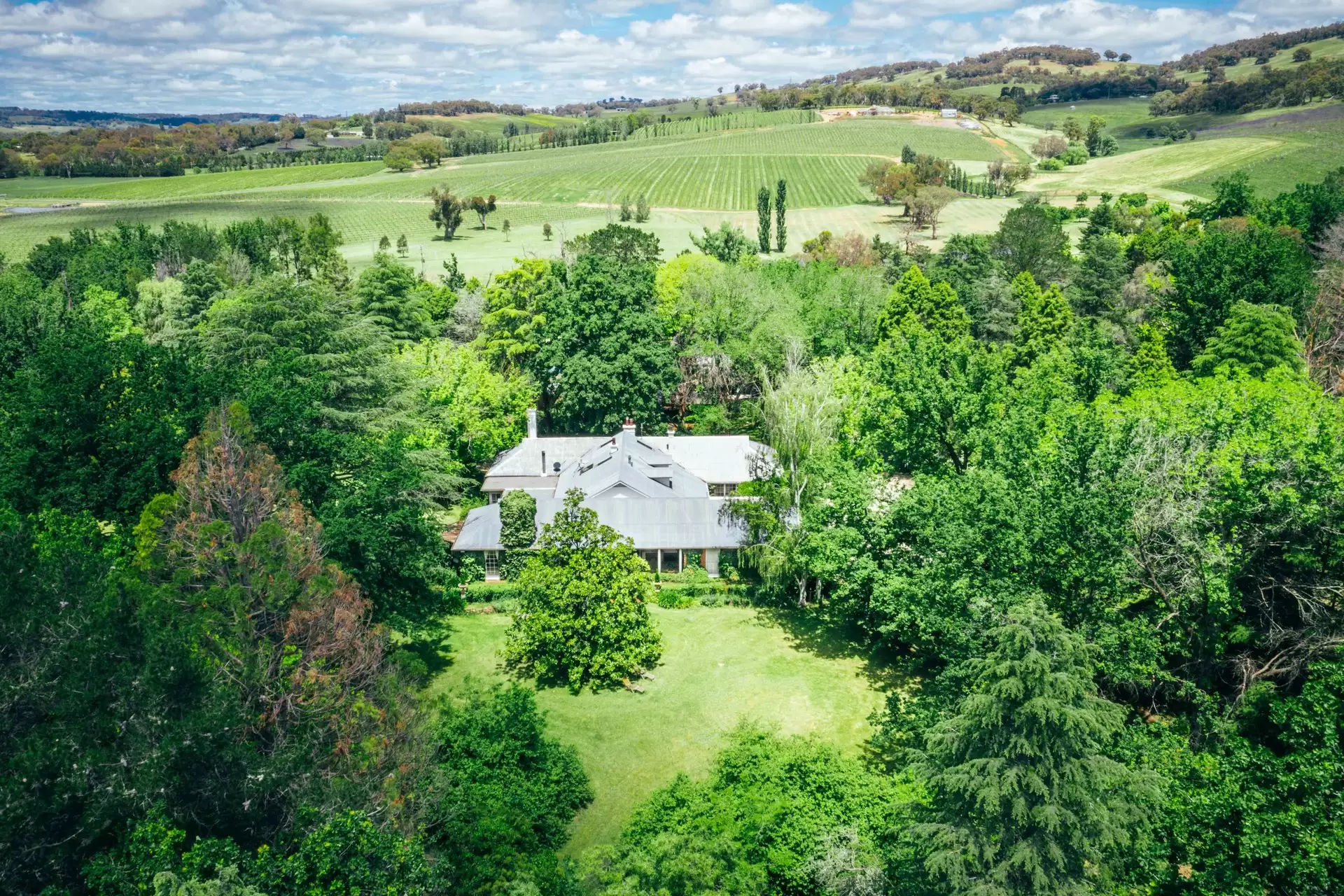 954 Icely Road, Orange Sold by Drew Lindsay Sotheby's International Realty - image 2