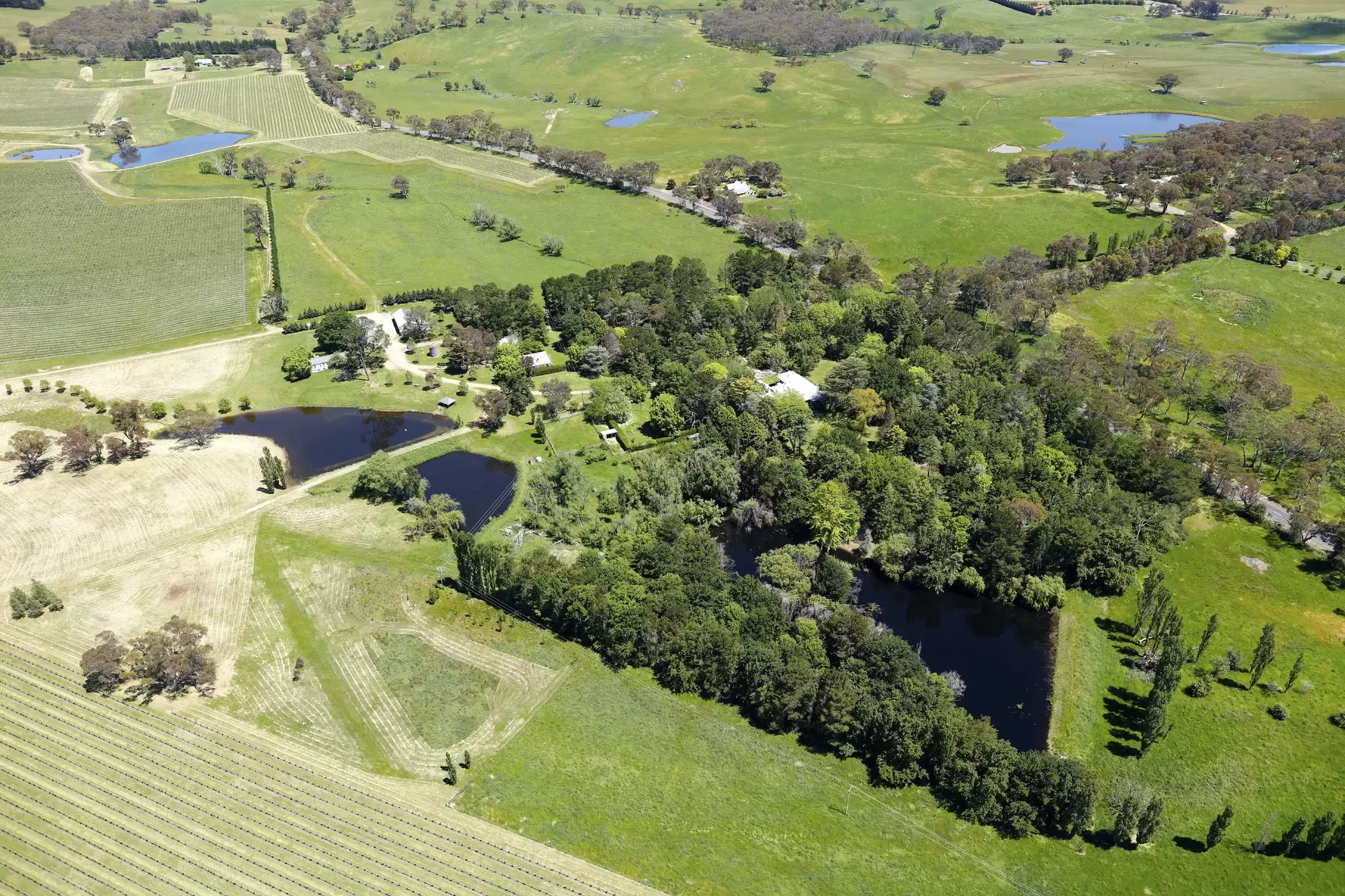 954 Icely Road, Orange Sold by Drew Lindsay Sotheby's International Realty - image 17