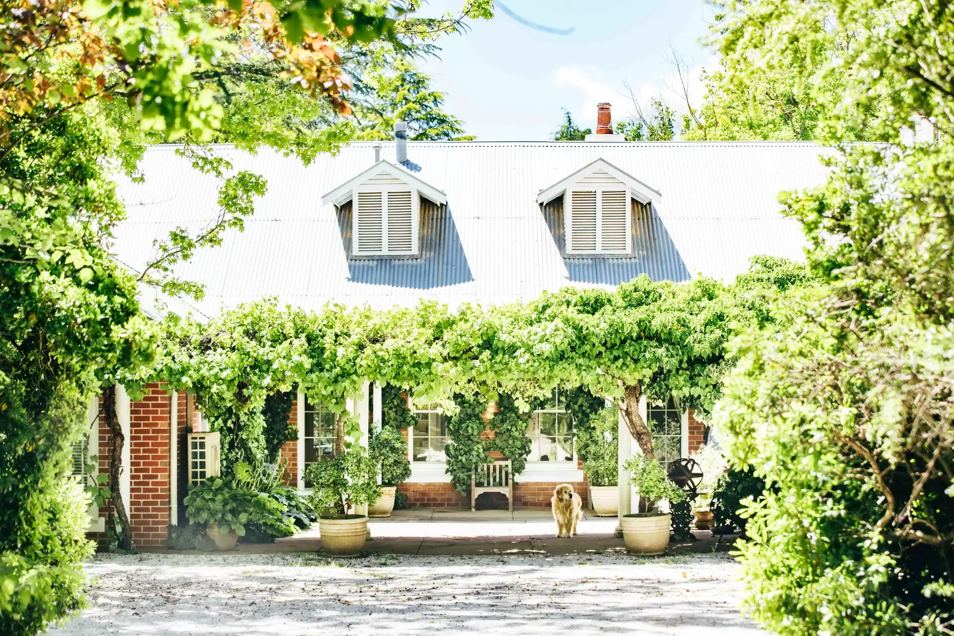 954 Icely Road, Orange Sold by Drew Lindsay Sotheby's International Realty - image 16