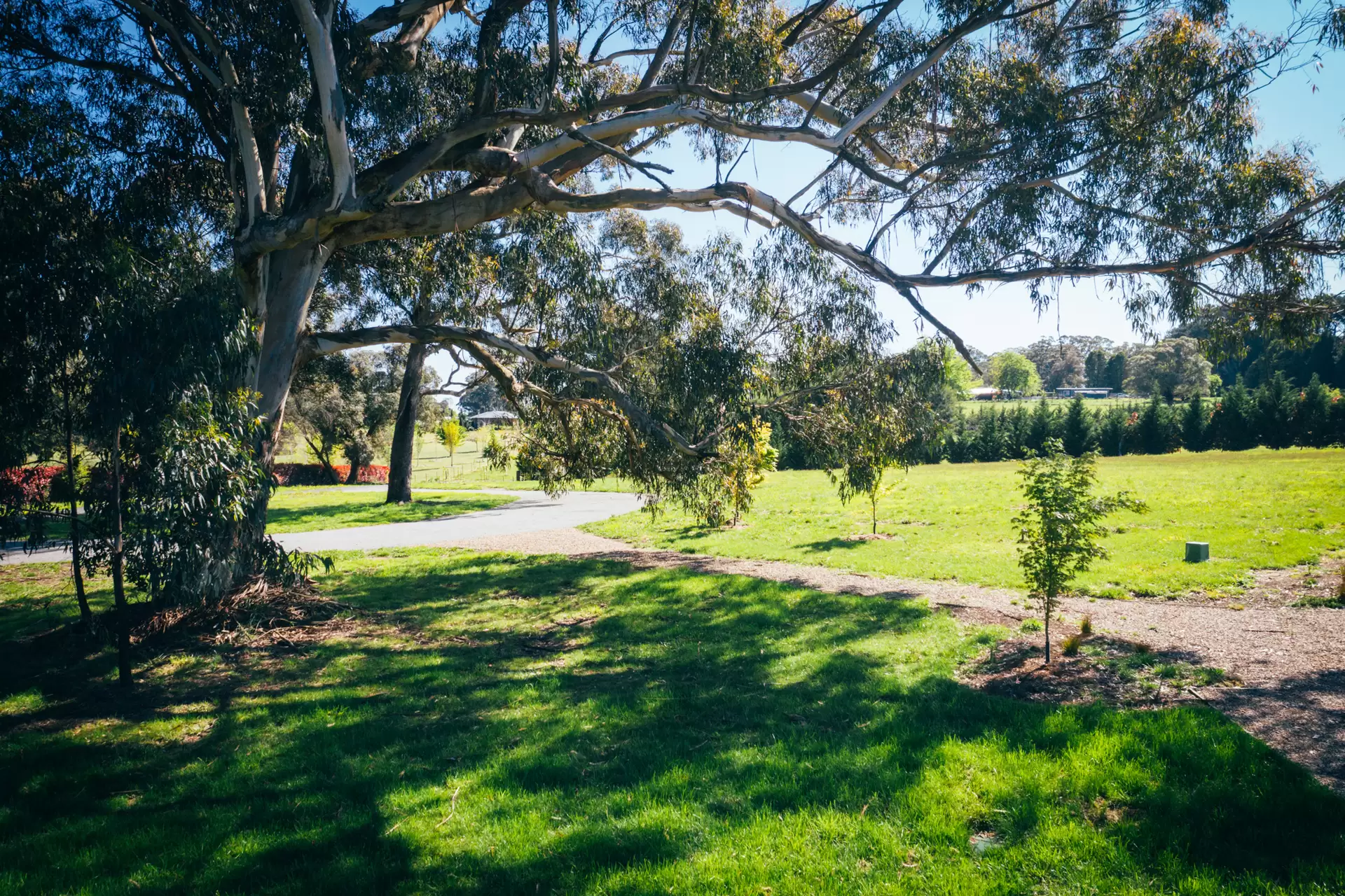 5 Carmen Lane, Exeter Sold by Drew Lindsay Sotheby's International Realty - image 4