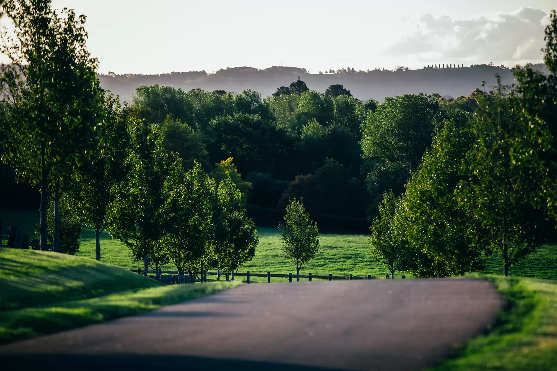 Bowral Sold by Drew Lindsay Sotheby's International Realty - image 15