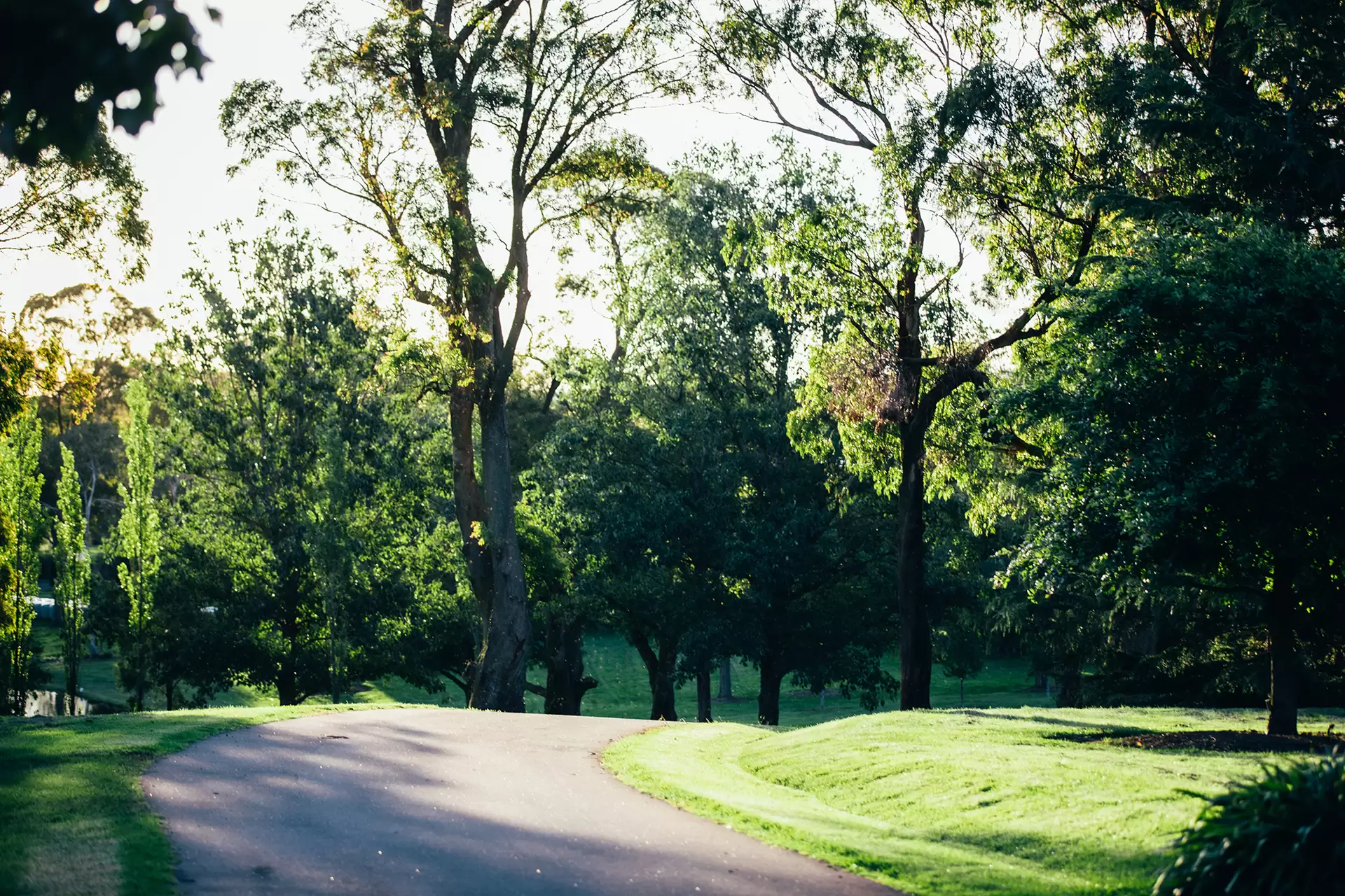 Bowral Sold by Drew Lindsay Sotheby's International Realty - image 8
