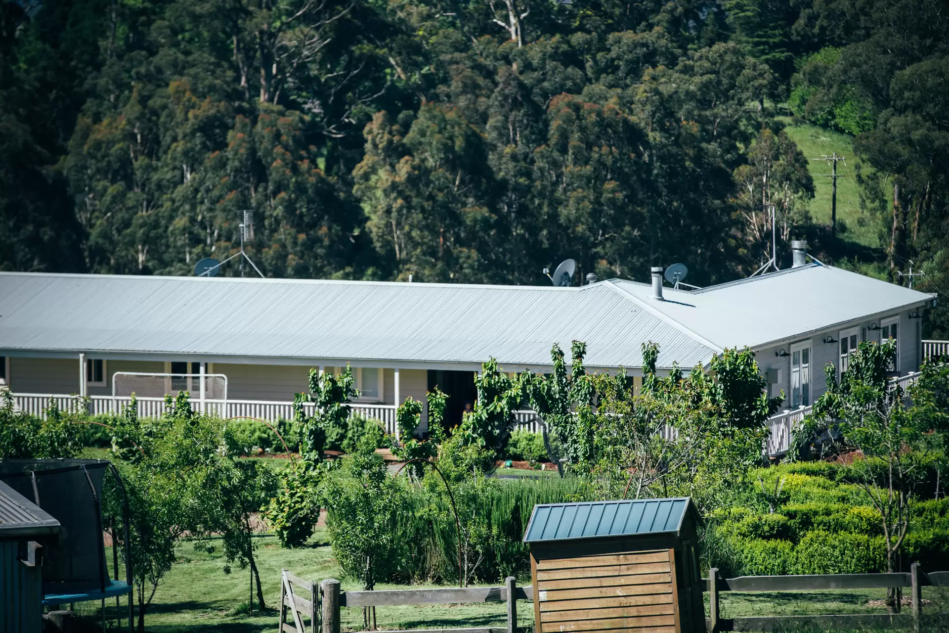 51 Widgee Waa Lane, Kangaloon Sold by Drew Lindsay Sotheby's International Realty - image 9