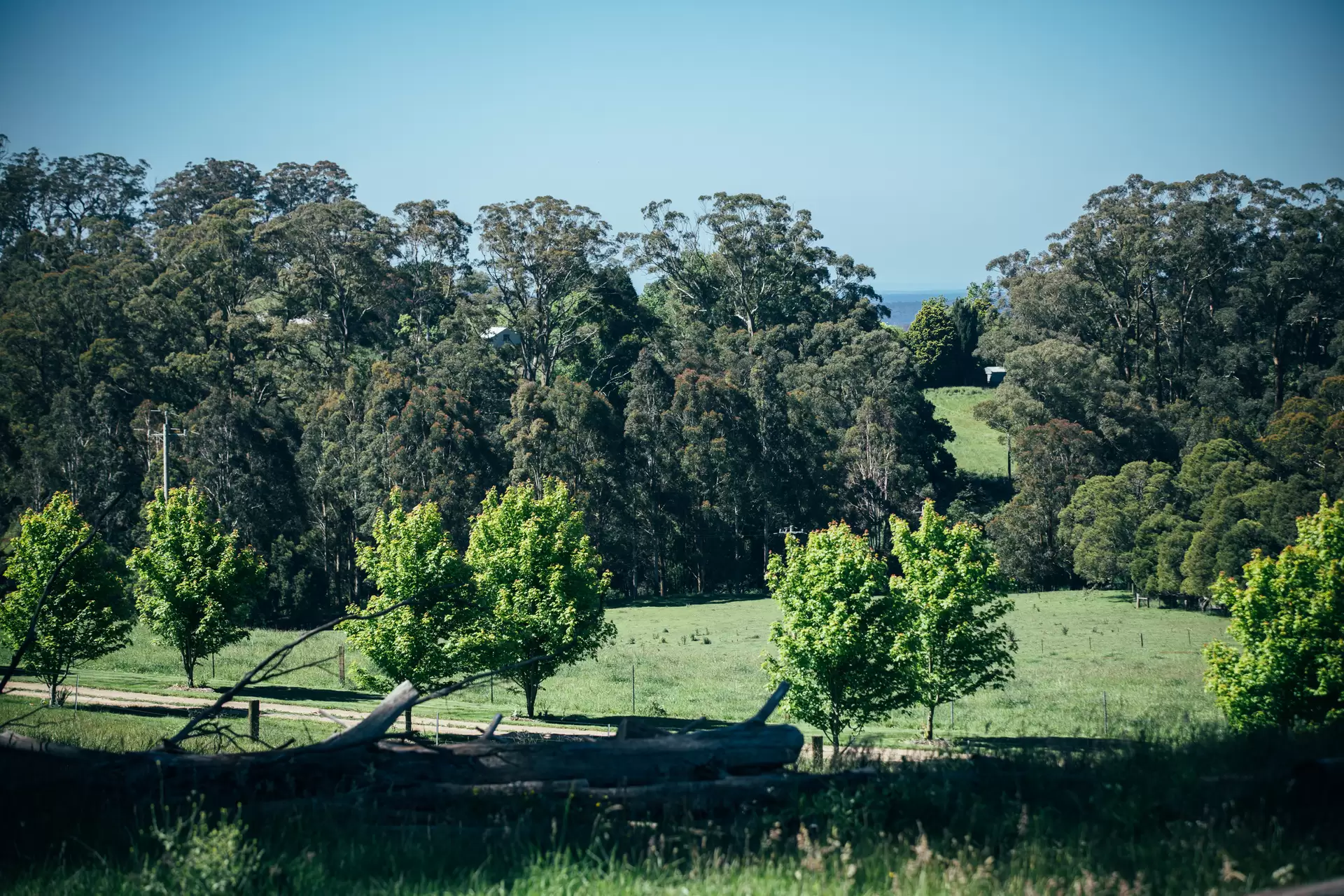 51 Widgee Waa Lane, Kangaloon Sold by Drew Lindsay Sotheby's International Realty - image 10