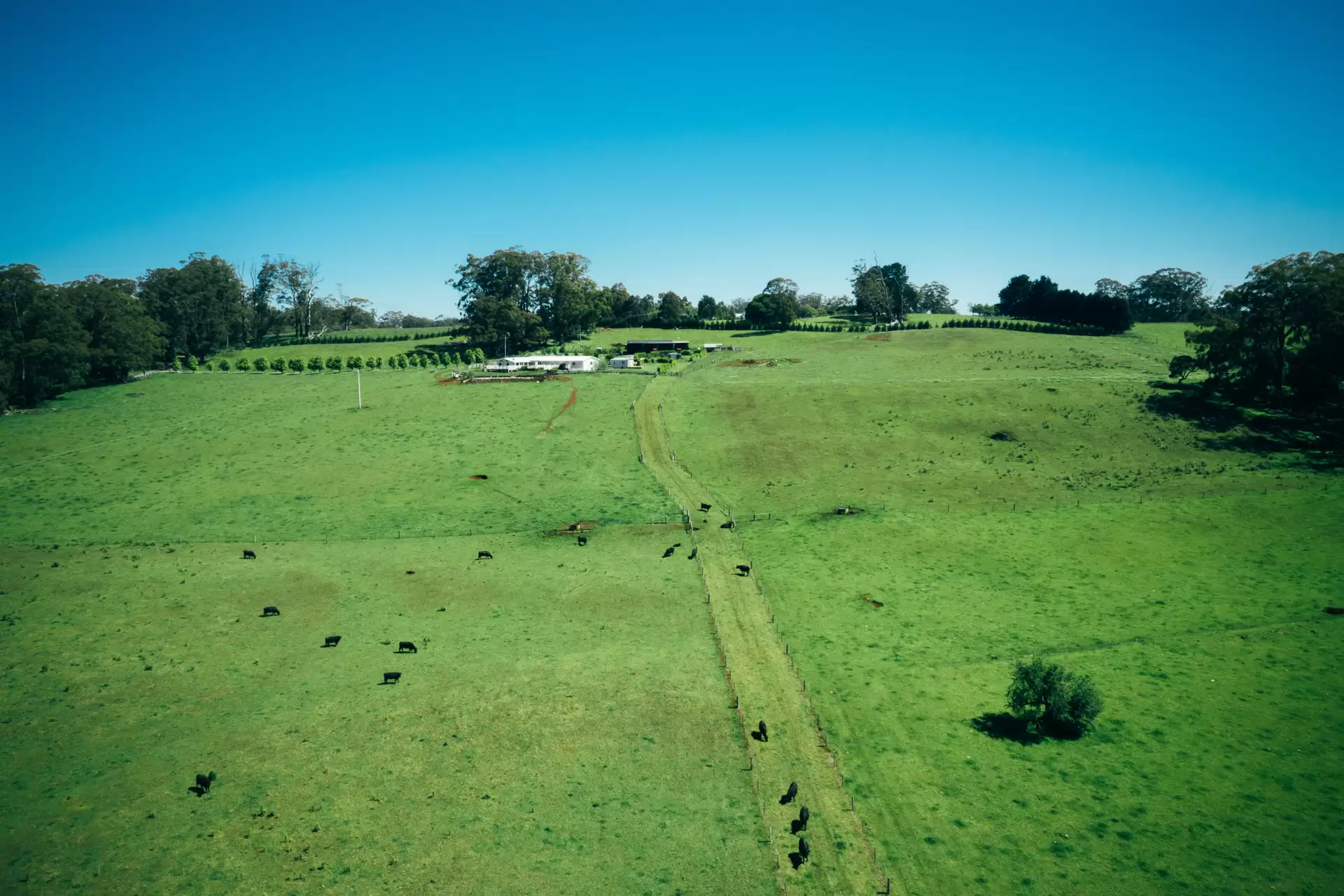 51 Widgee Waa Lane, Kangaloon Sold by Drew Lindsay Sotheby's International Realty - image 17