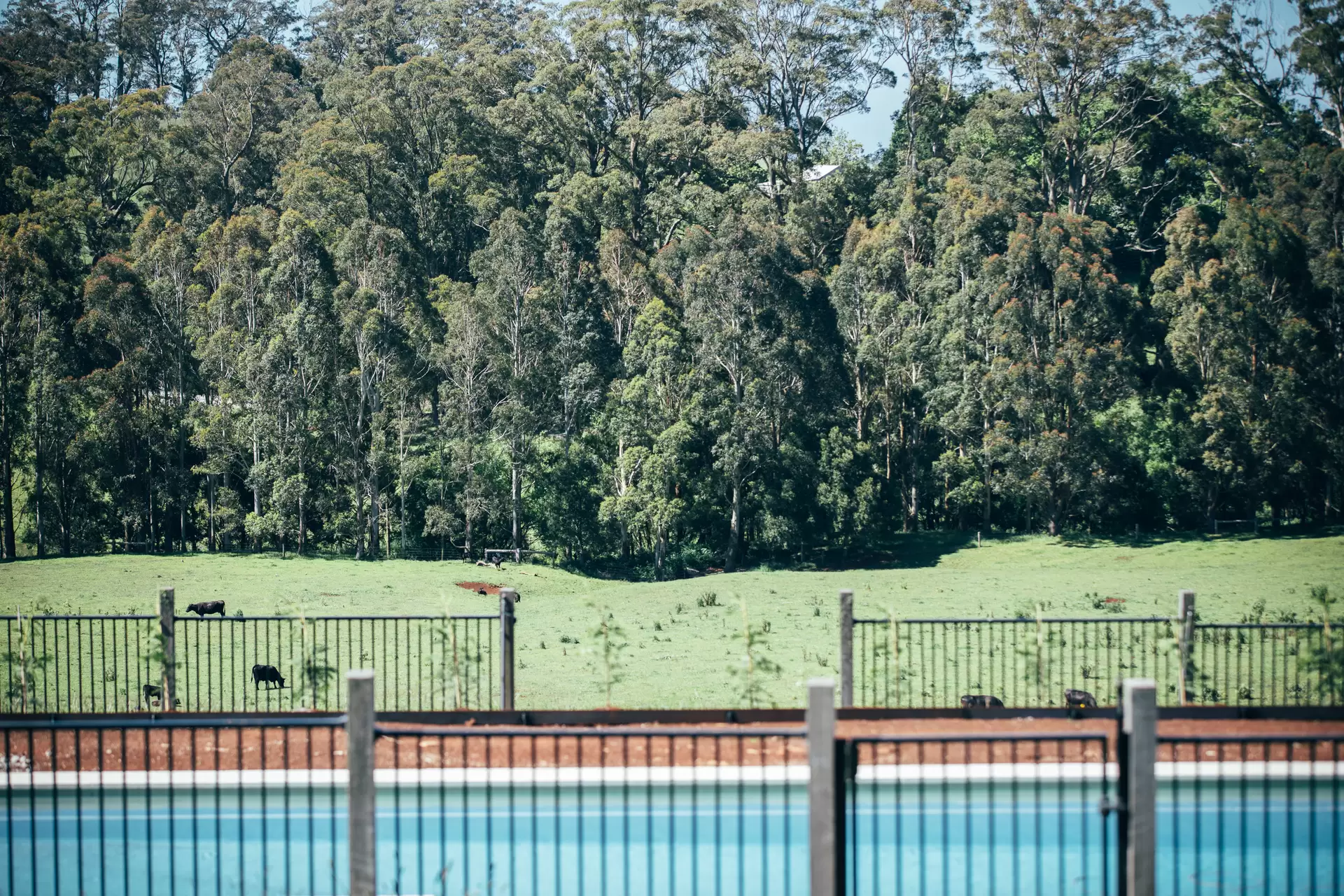 51 Widgee Waa Lane, Kangaloon Sold by Drew Lindsay Sotheby's International Realty - image 12