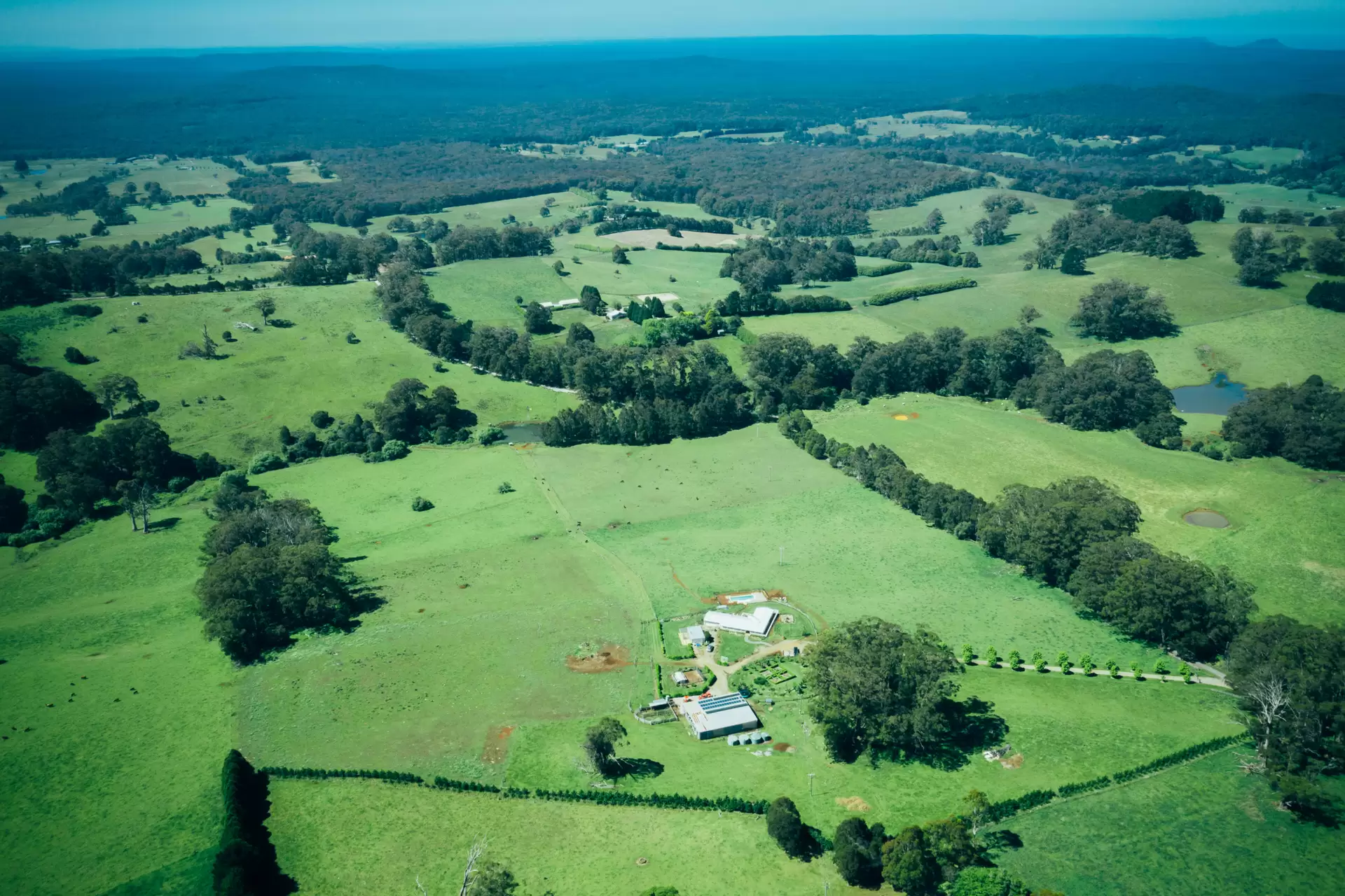 51 Widgee Waa Lane, Kangaloon Sold by Drew Lindsay Sotheby's International Realty - image 16